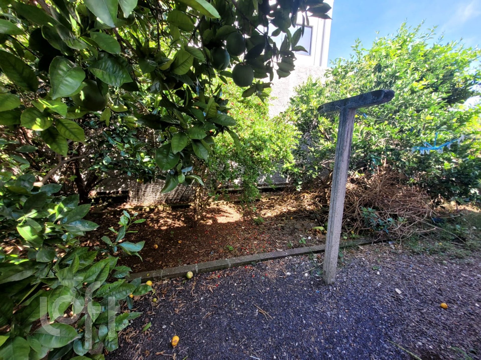 Imagem da propriedade 36