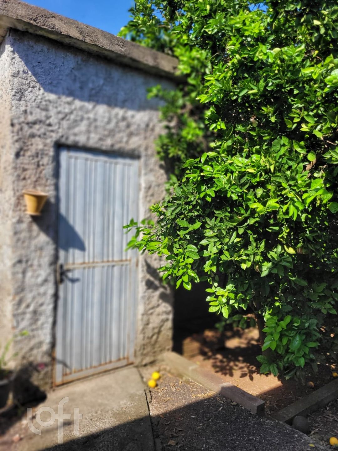 Imagem da propriedade 34