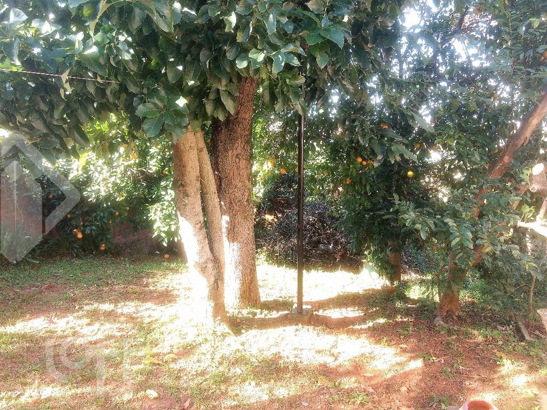 Imagem da propriedade 8