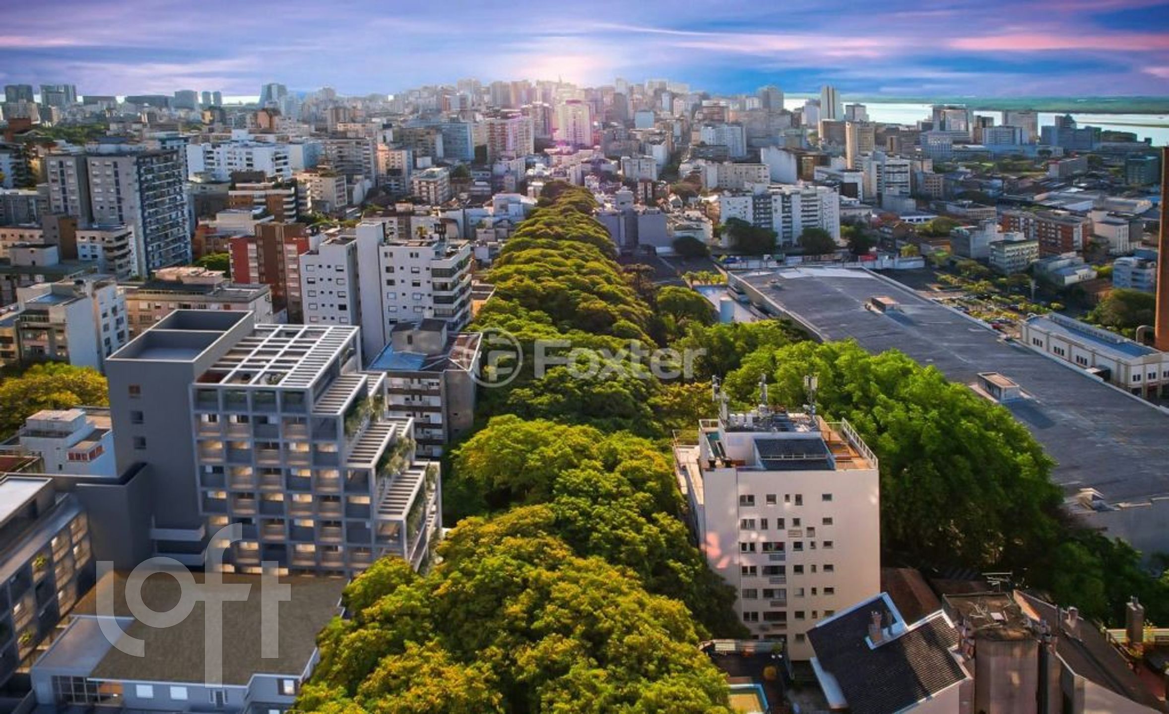 Imagem da propriedade 31