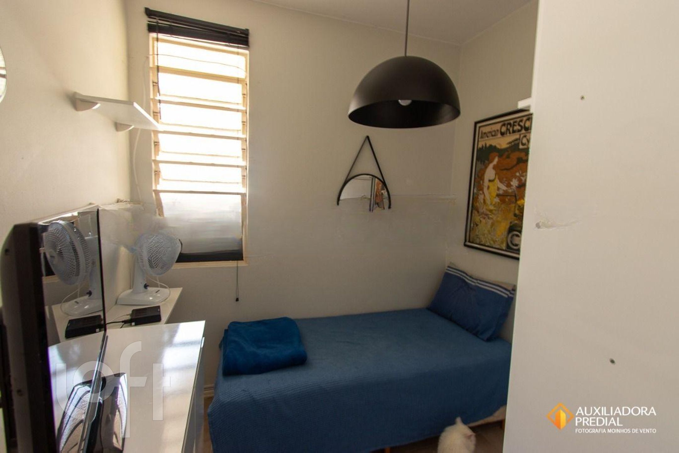 Imagem da propriedade 18