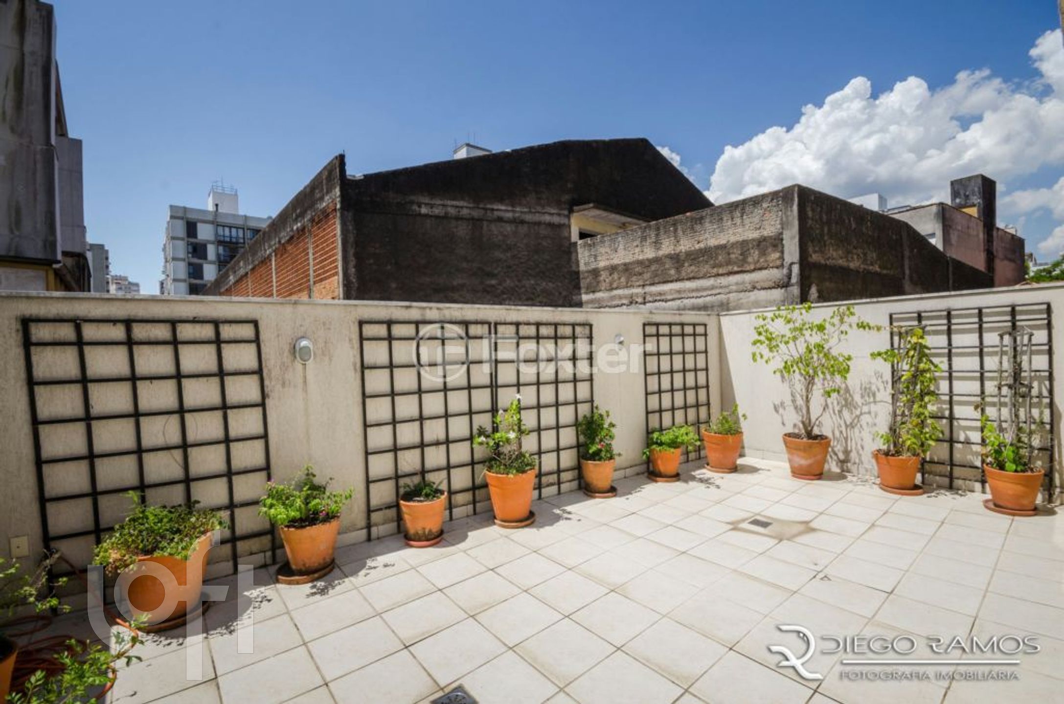 Imagem da propriedade 31