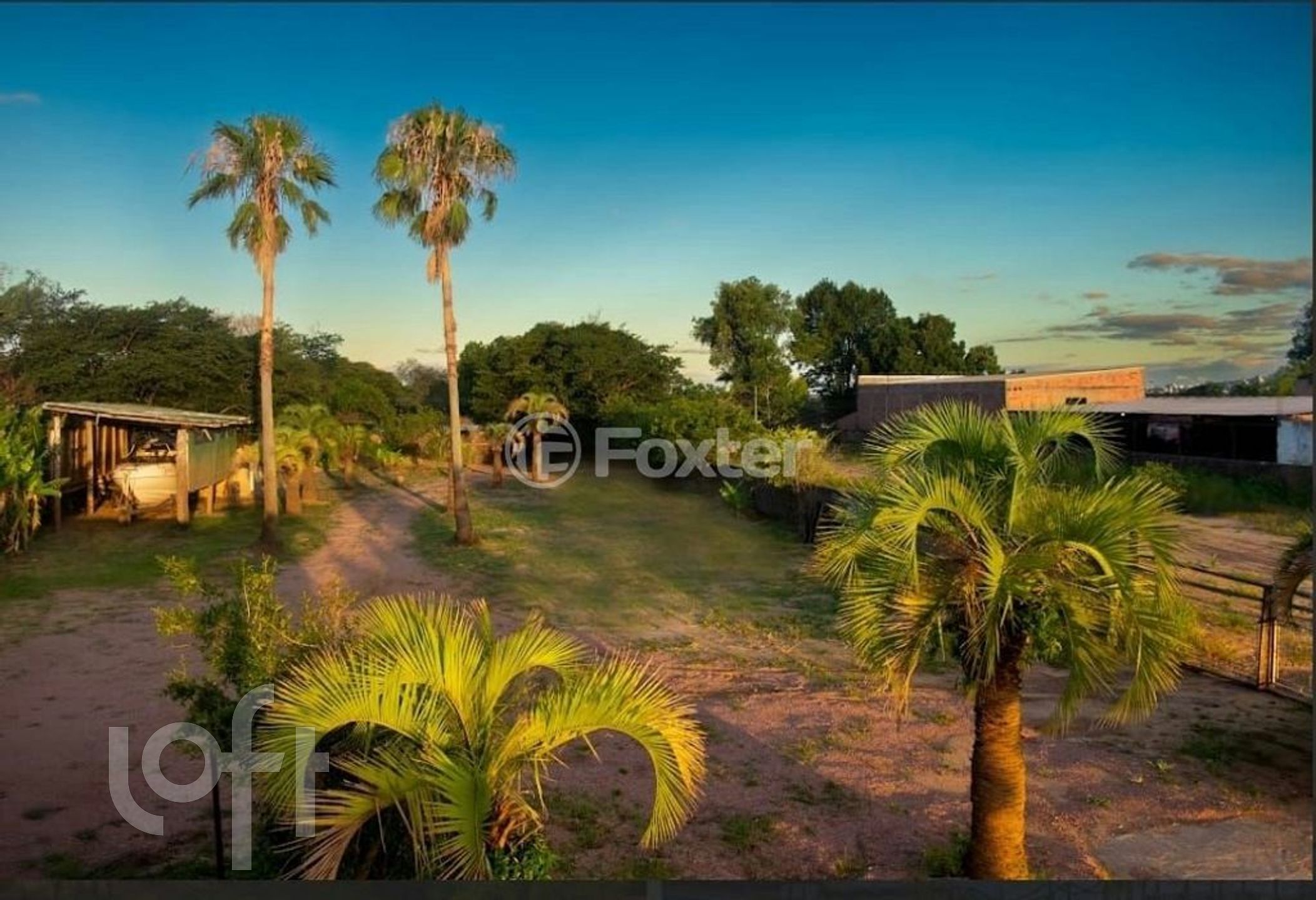 Imagem da propriedade 21