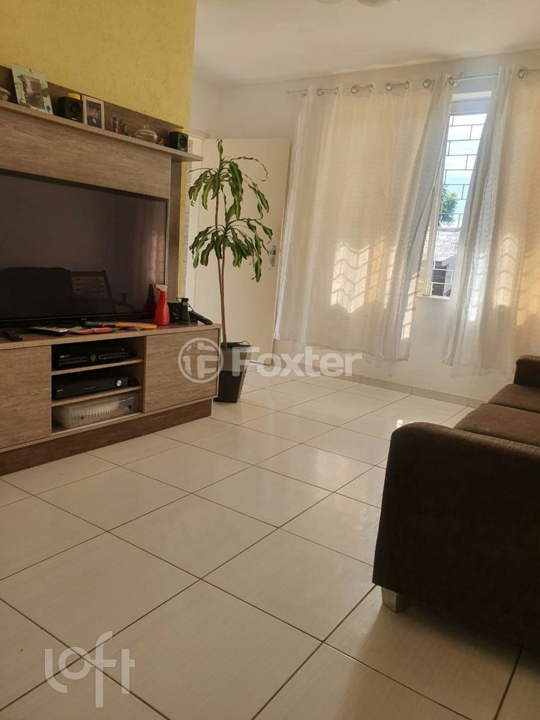 Imagem da propriedade 3