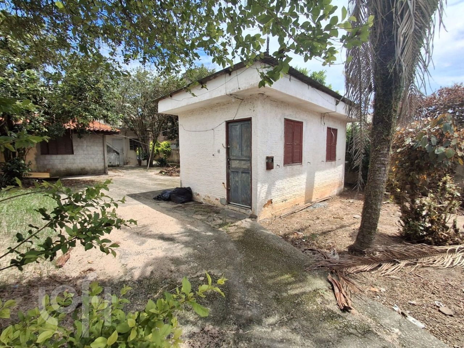 Imagem da propriedade 6