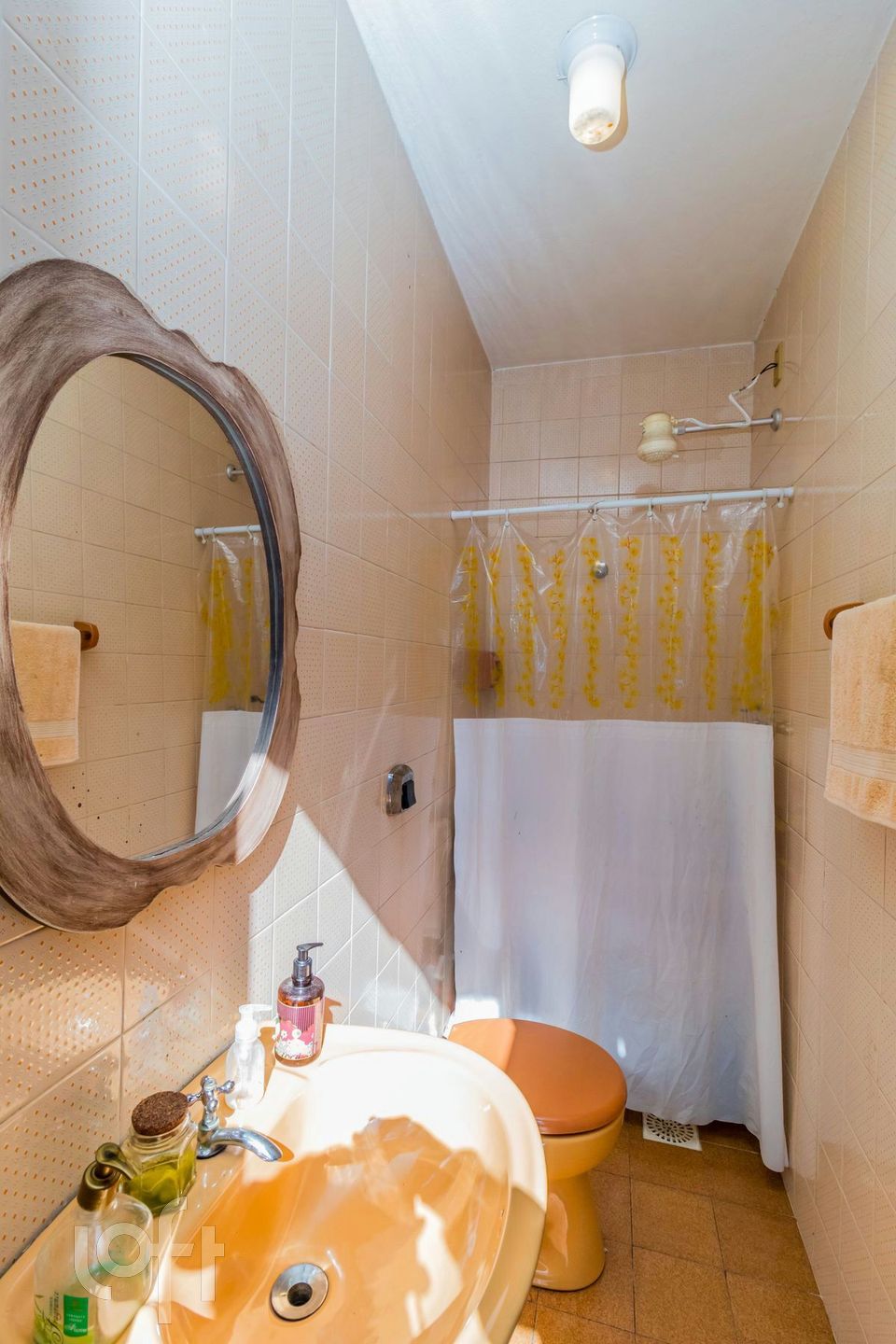 Imagem da propriedade 16