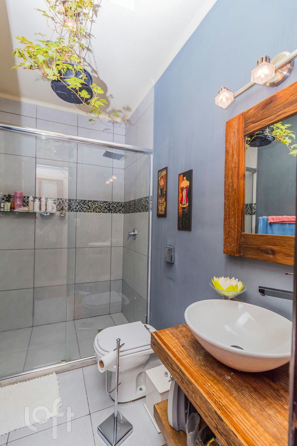 Imagem da propriedade 11