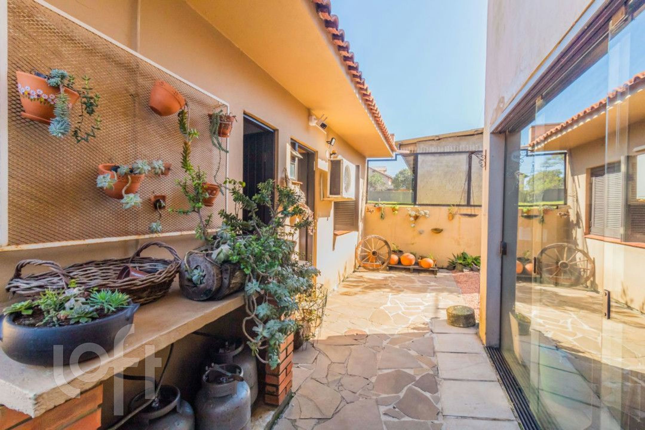 Imagem da propriedade 27