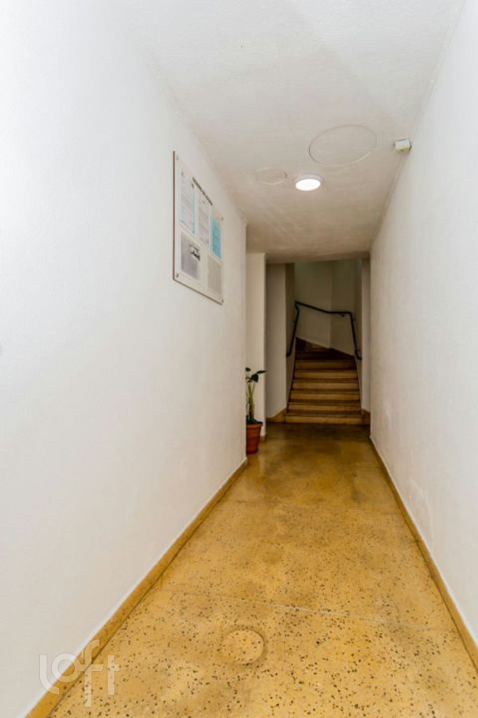 Imagem da propriedade 24