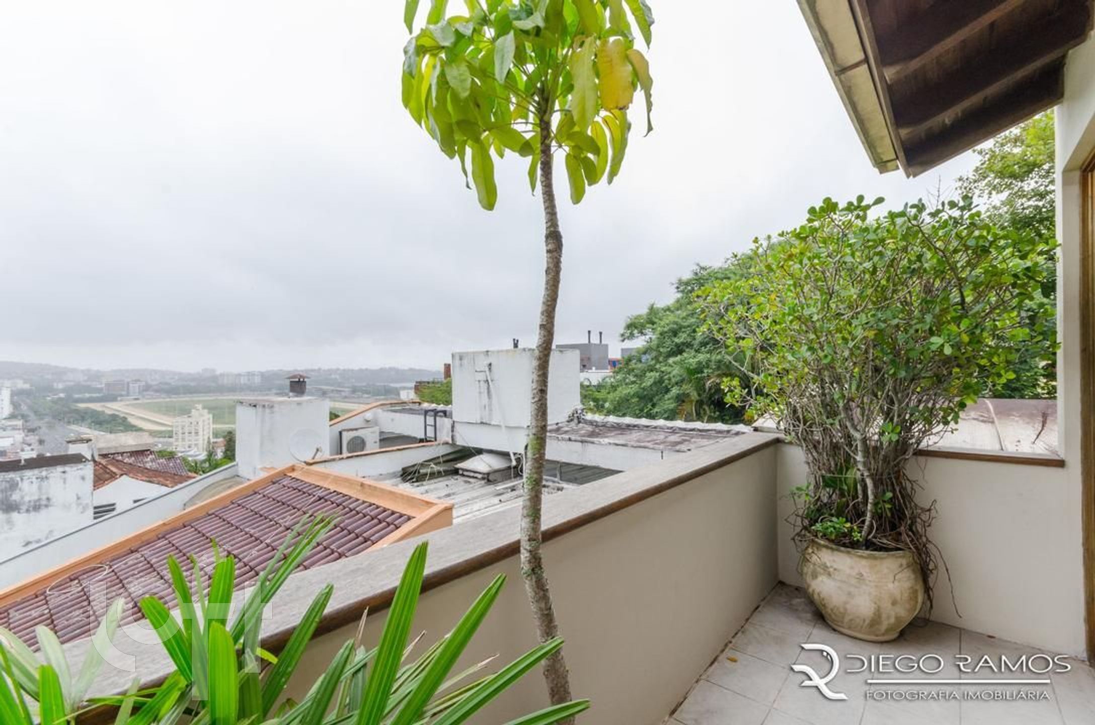 Imagem da propriedade 43