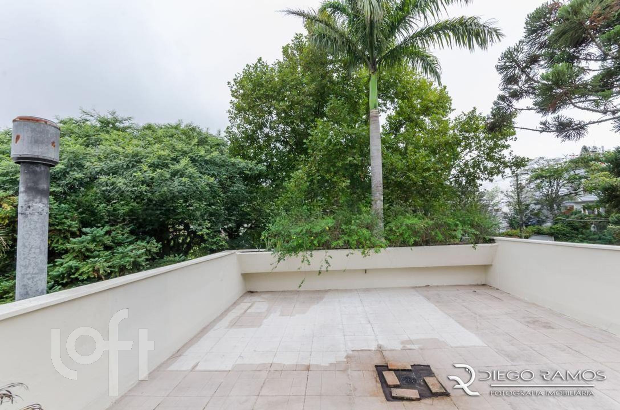 Imagem da propriedade 50