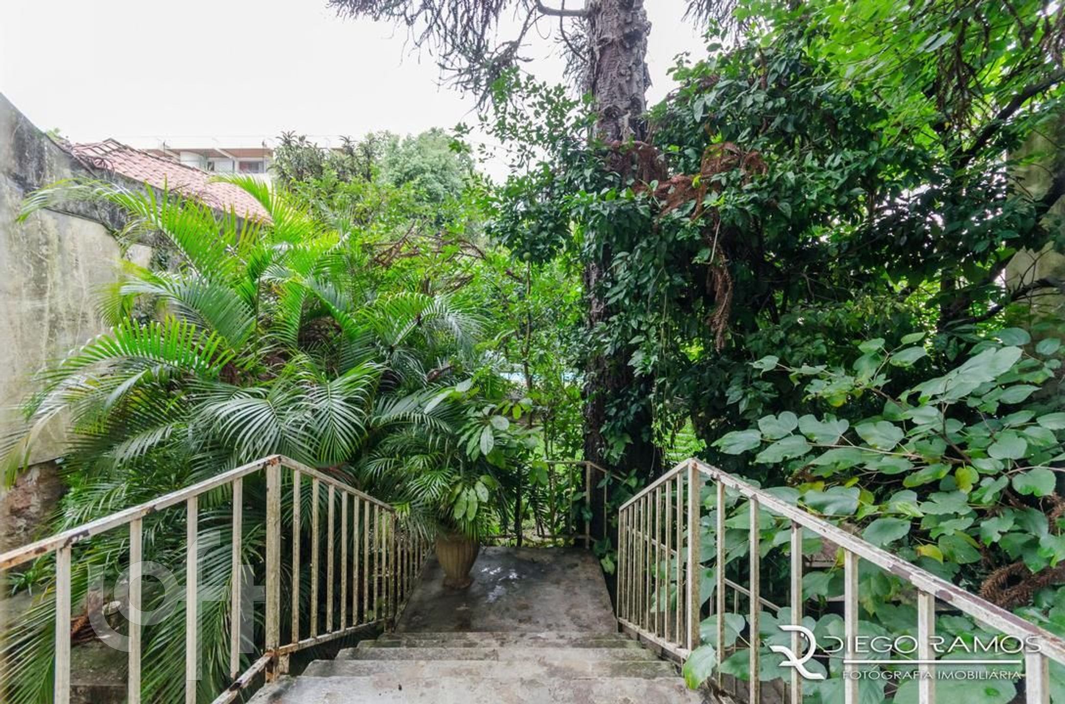 Imagem da propriedade 23