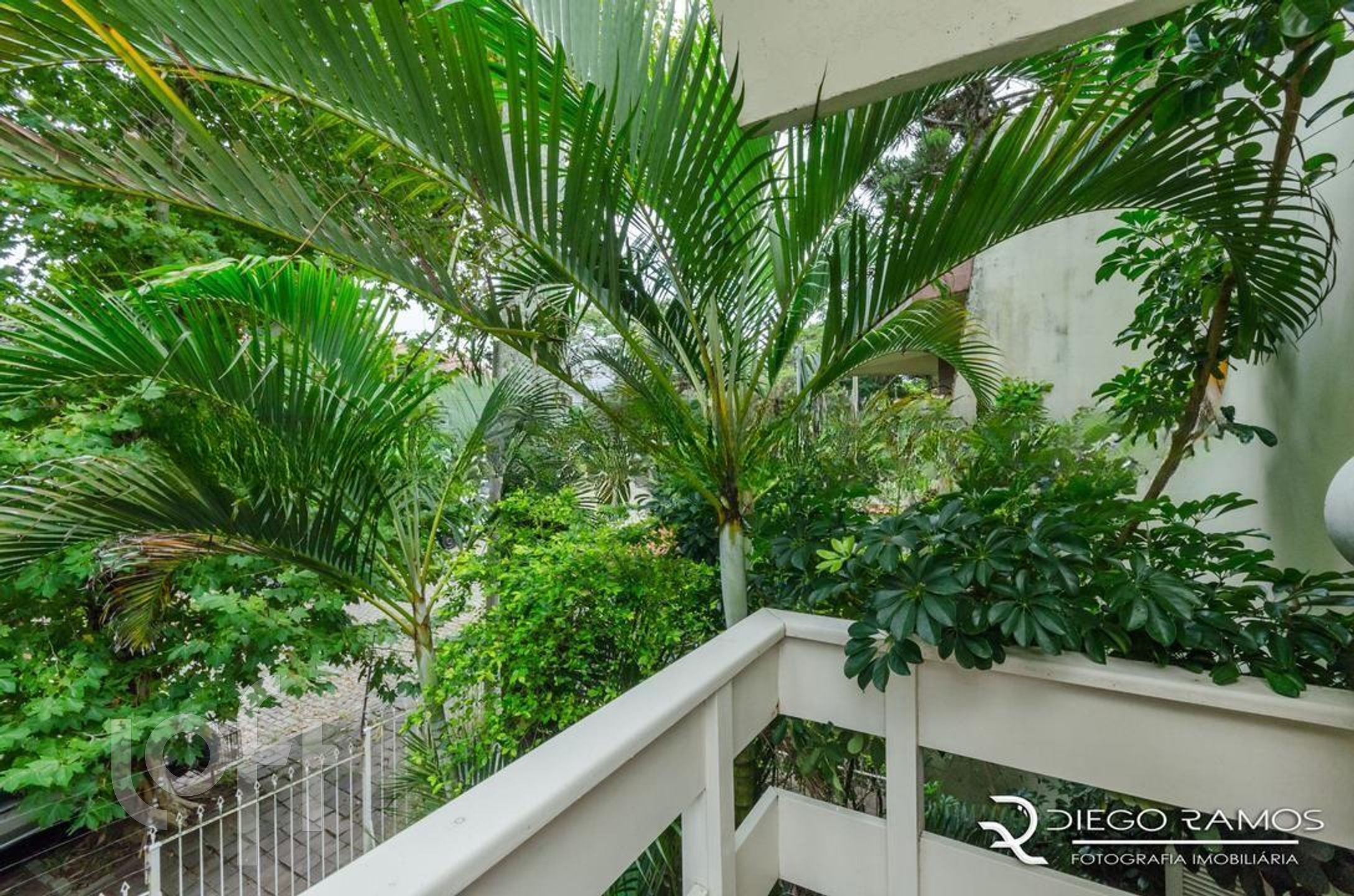 Imagem da propriedade 29