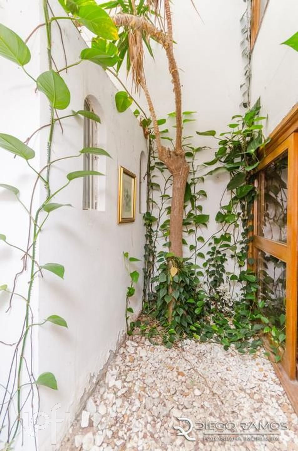 Imagem da propriedade 9