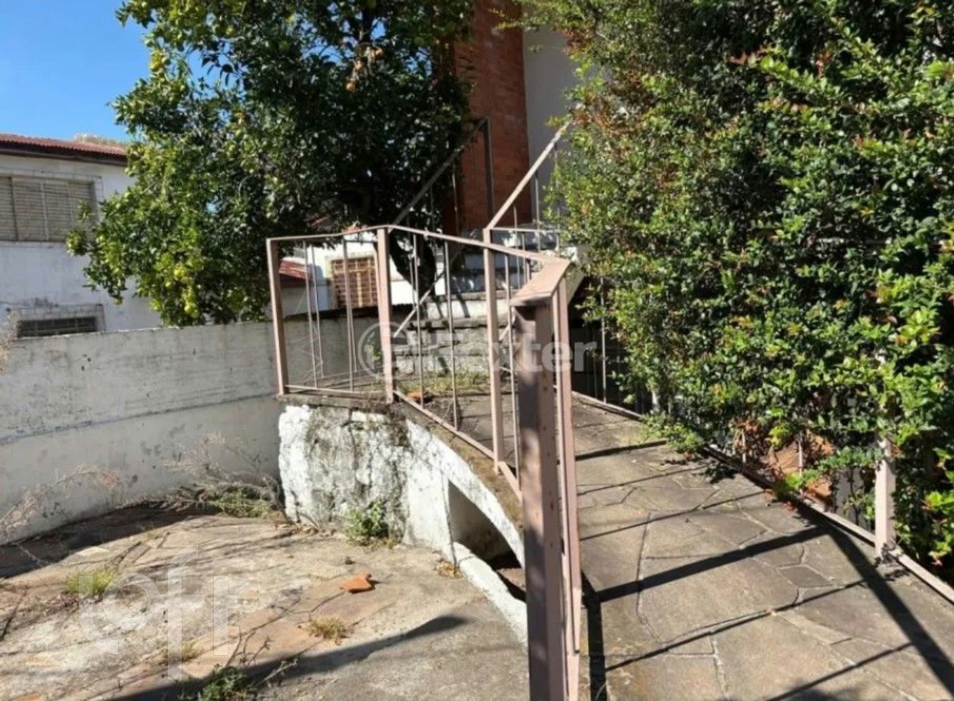 Imagem da propriedade 21