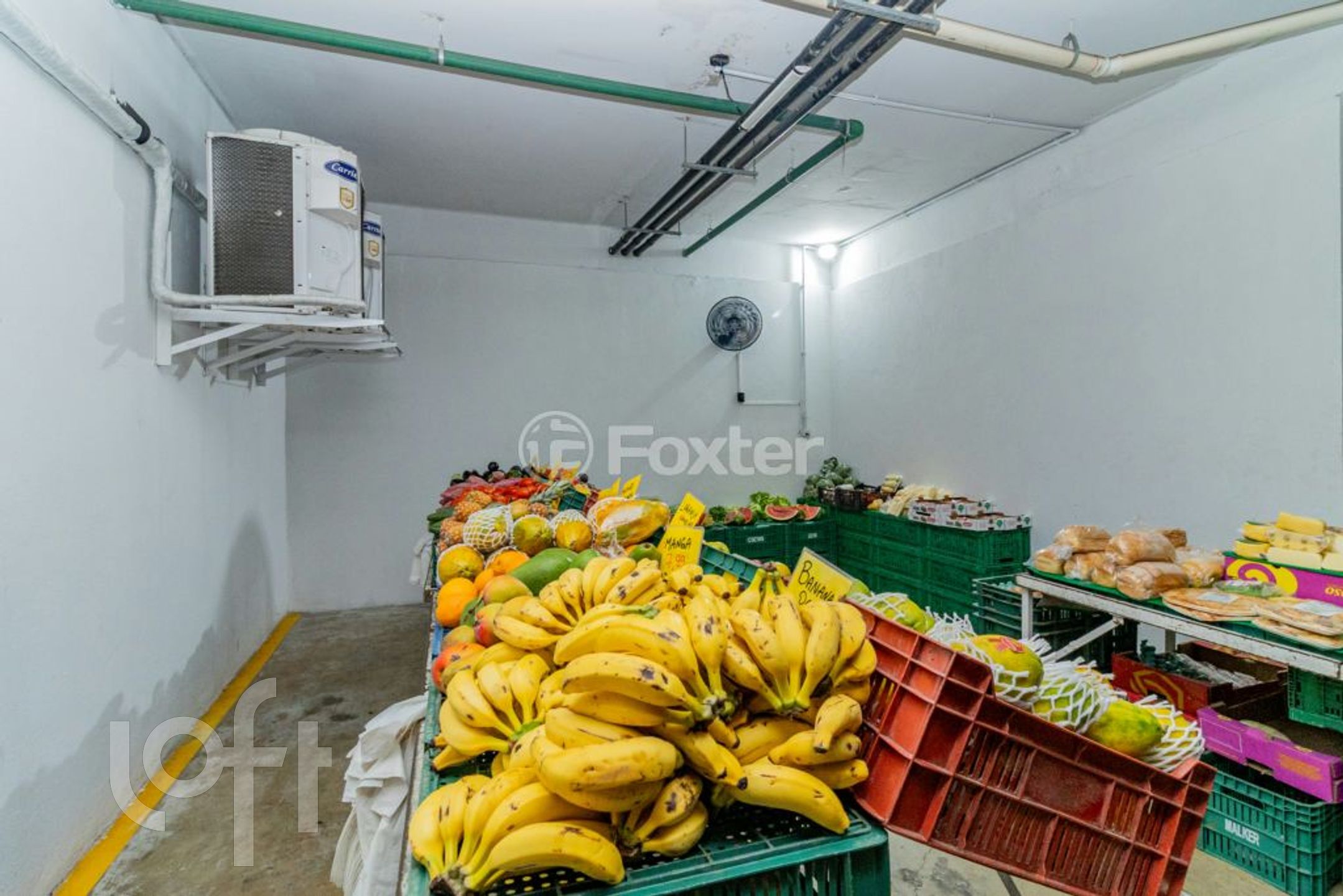 Imagem da propriedade 71