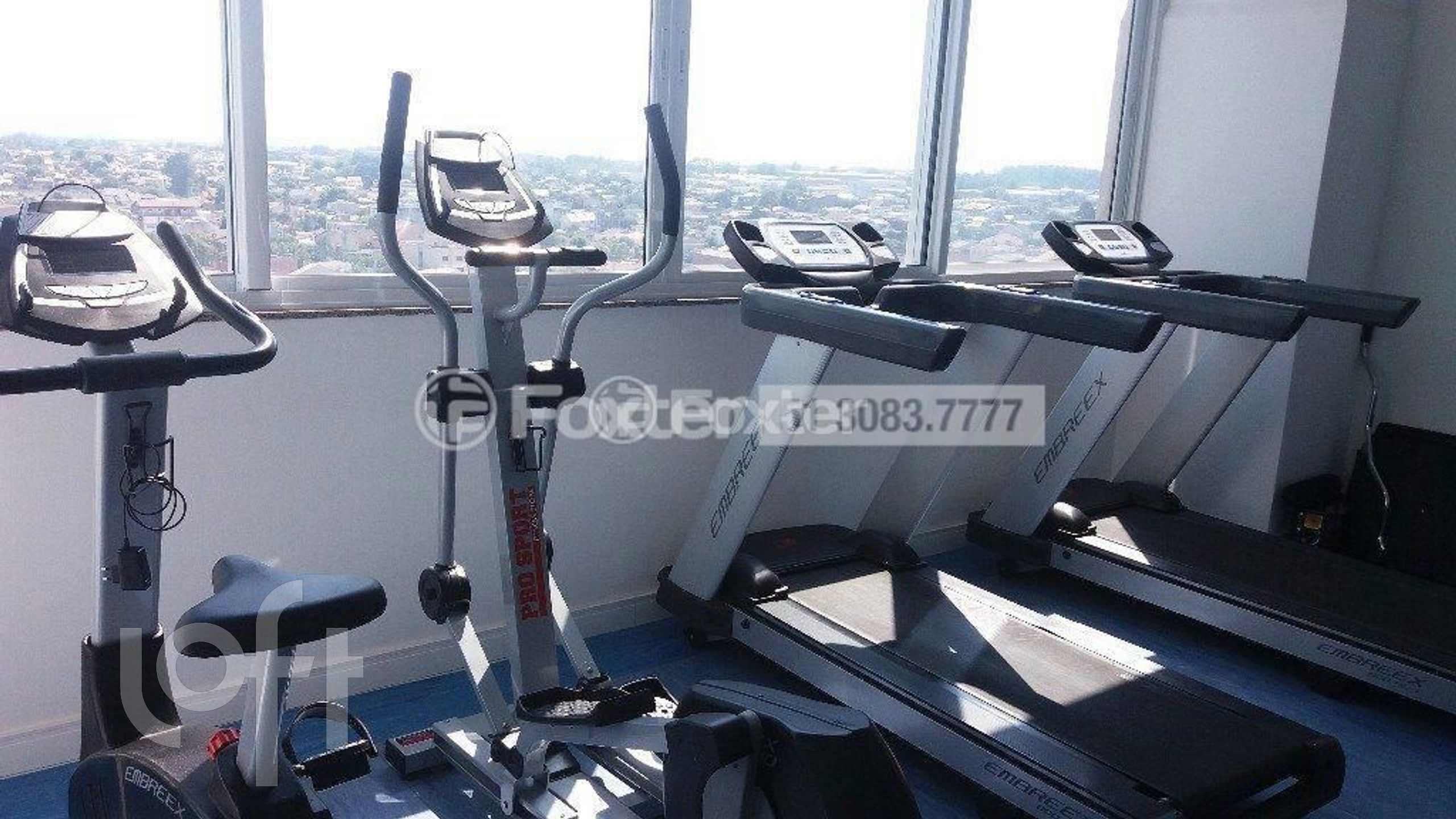 Imagem da propriedade 16