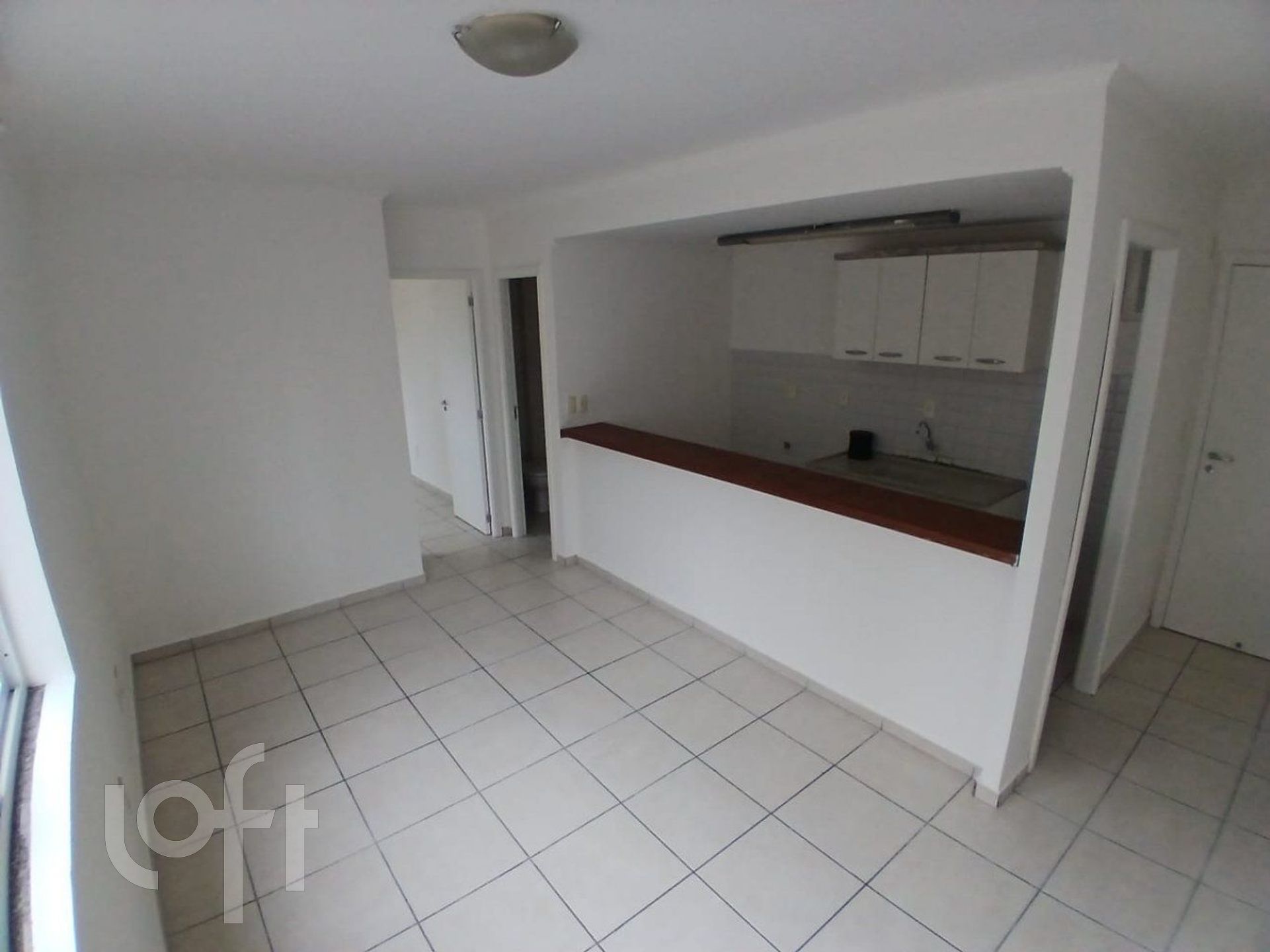 Imagem da propriedade 5