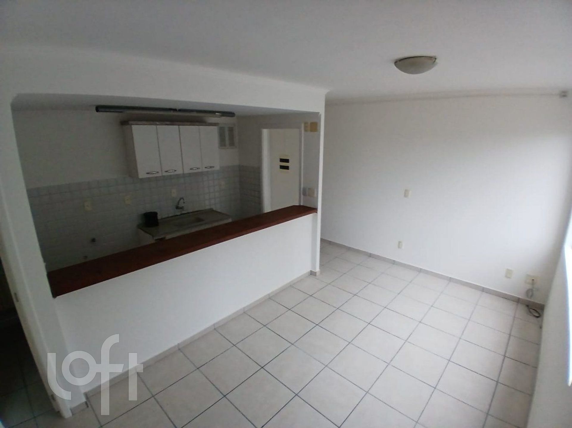 Imagem da propriedade 10