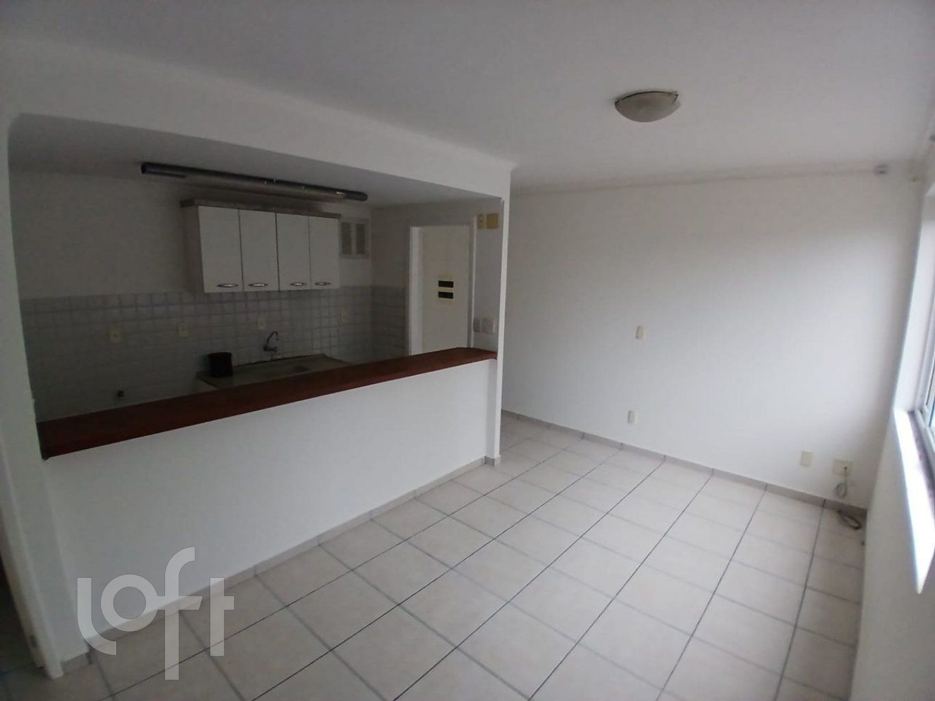 Imagem da propriedade 7