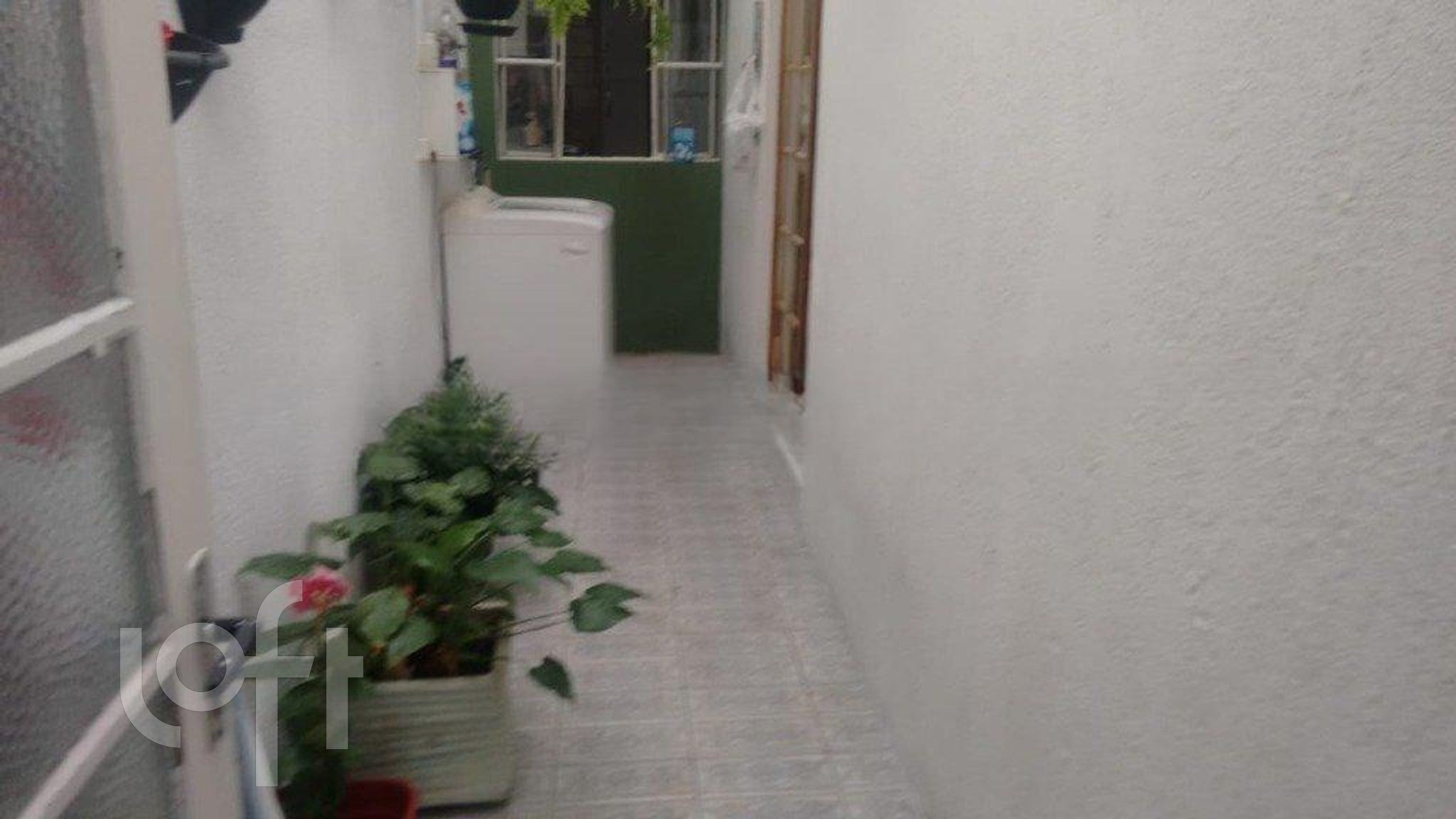 Imagem da propriedade 3