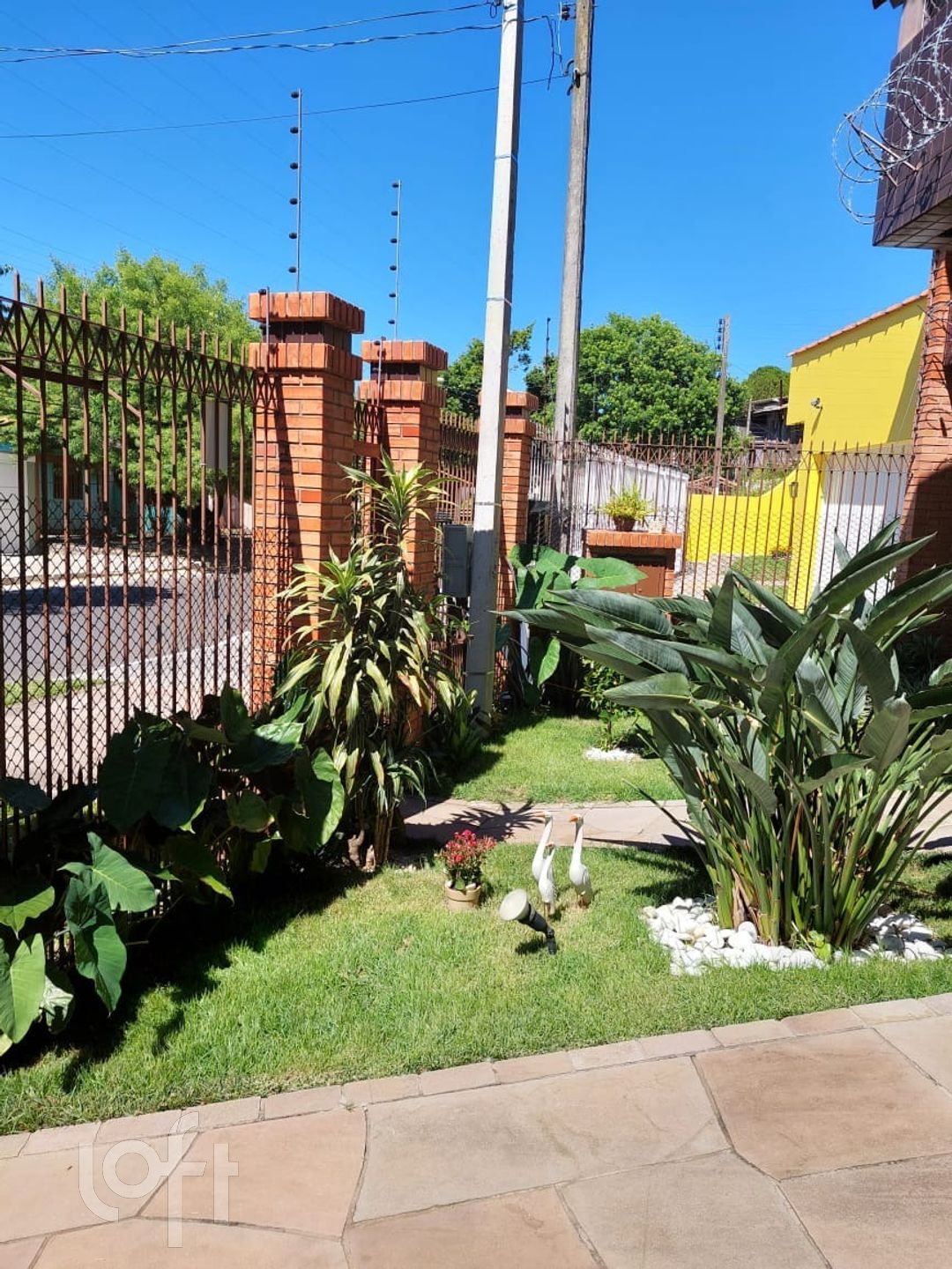 Imagem da propriedade 4