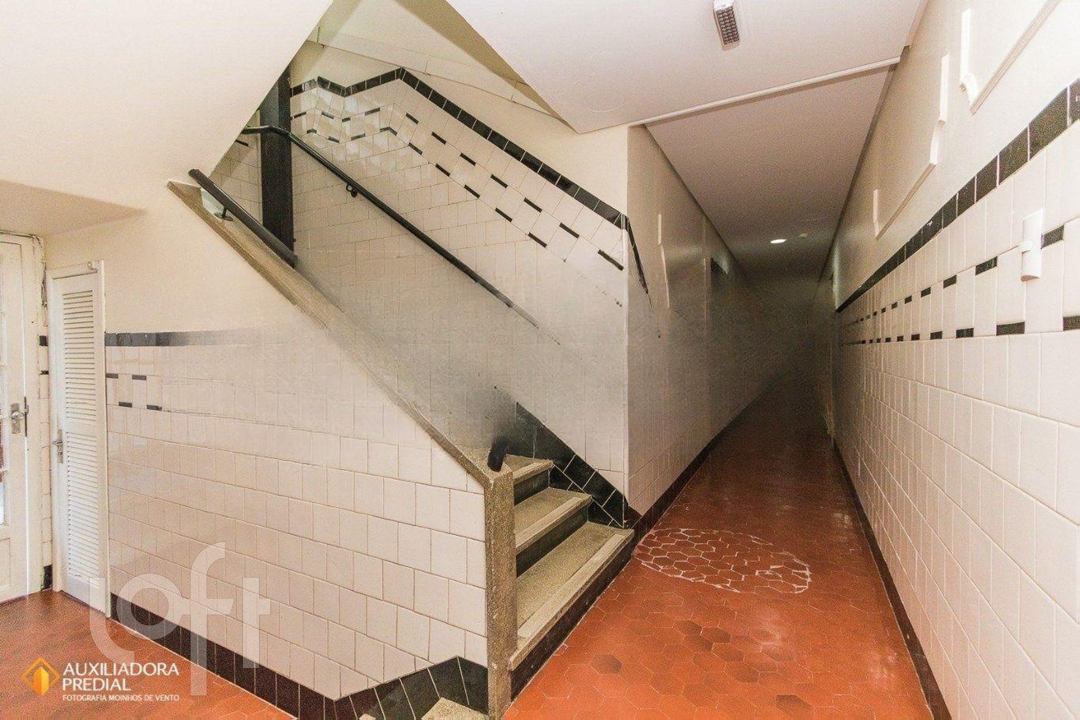 Imagem da propriedade 11