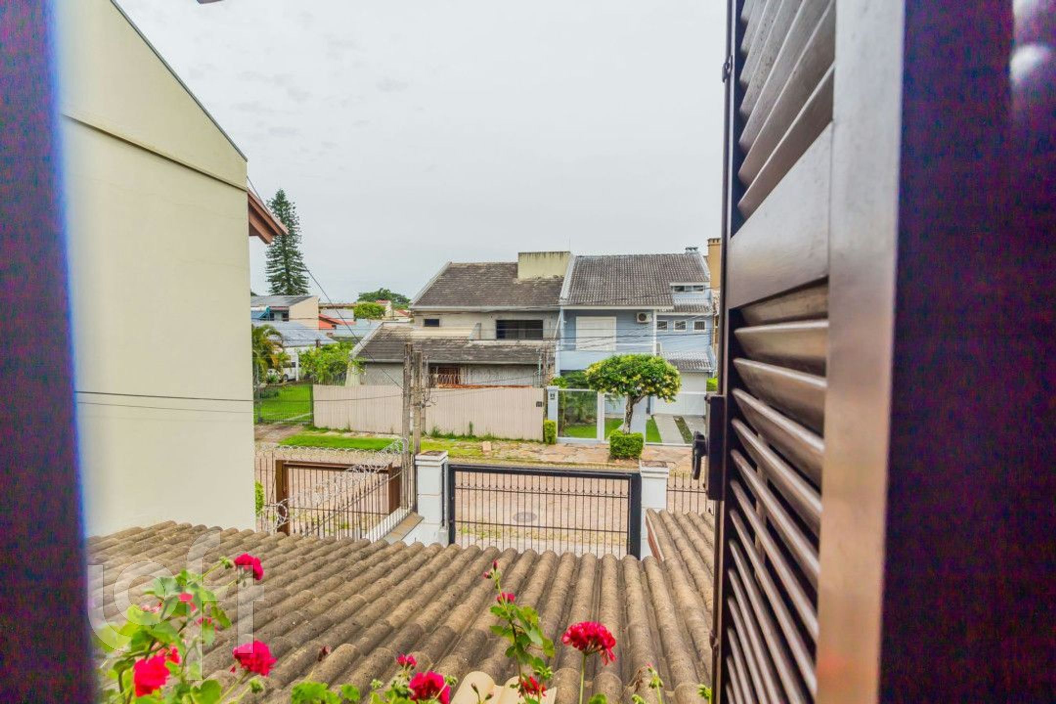 Imagem da propriedade 28