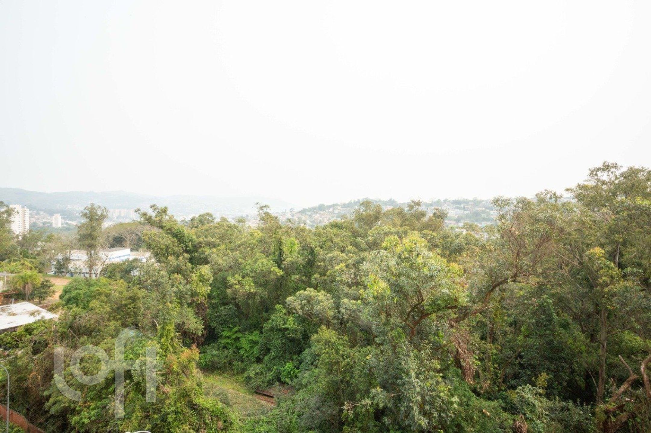 Imagem da propriedade 5