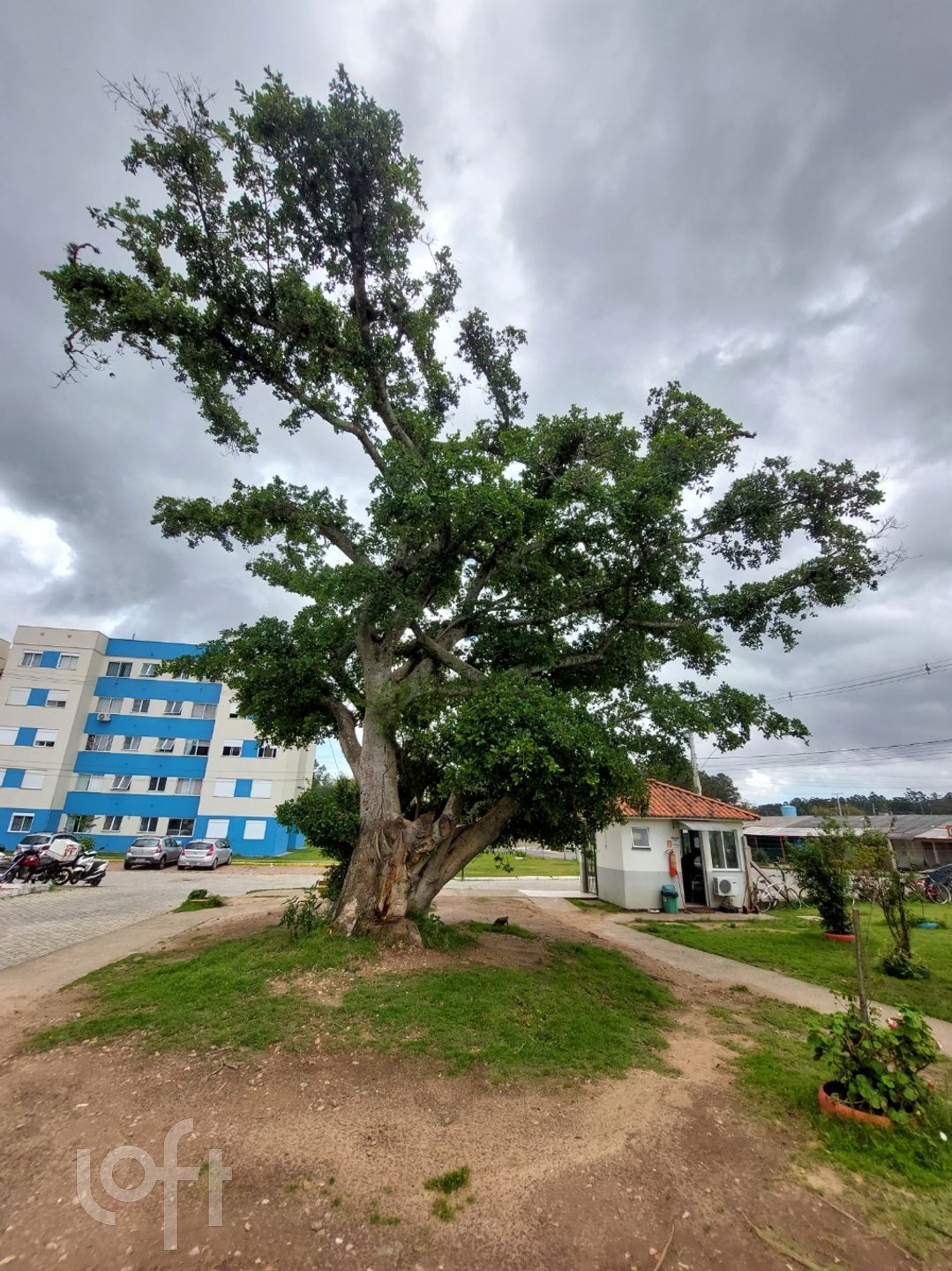 Imagem da propriedade 21