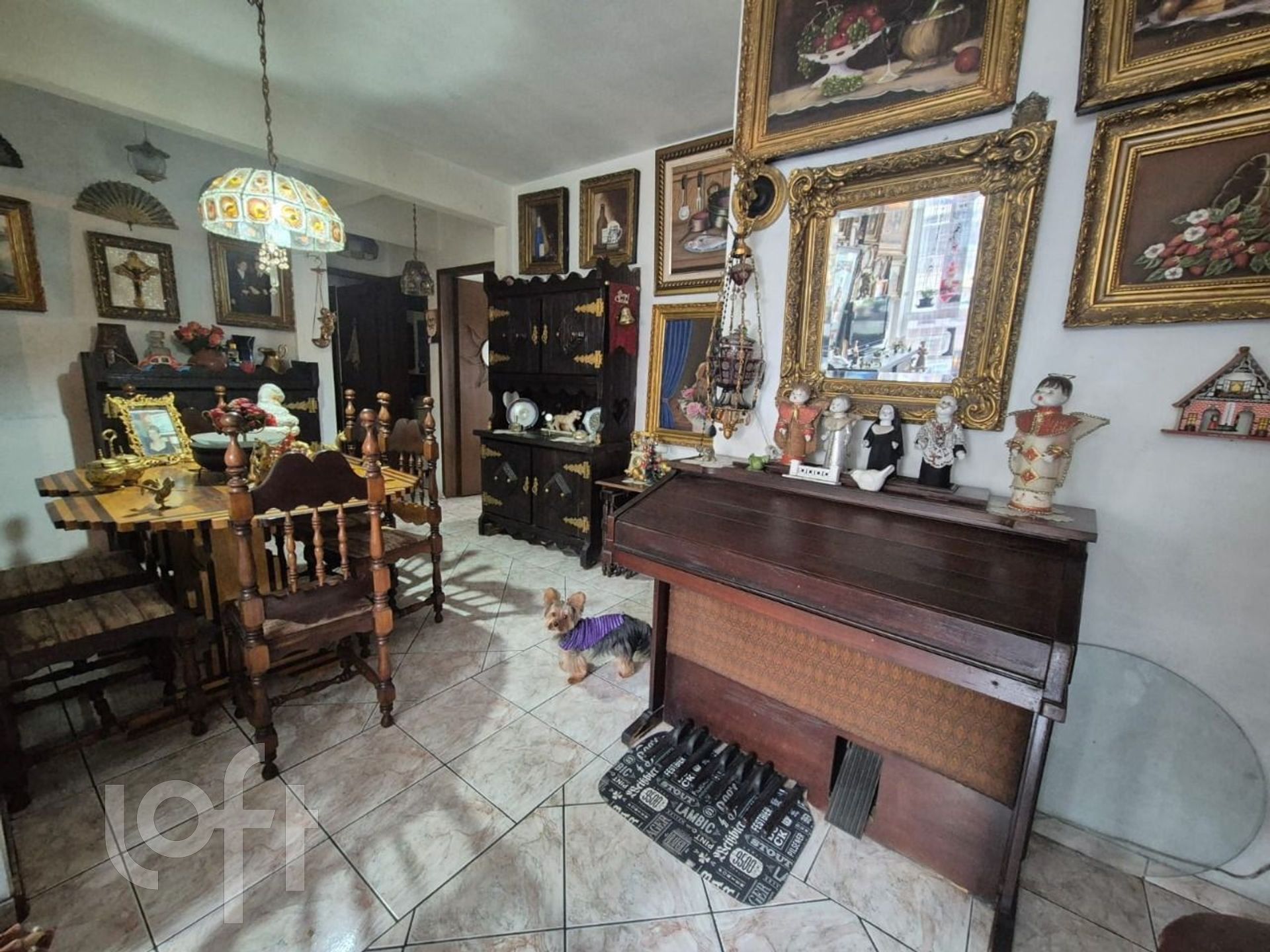 Imagem da propriedade 7