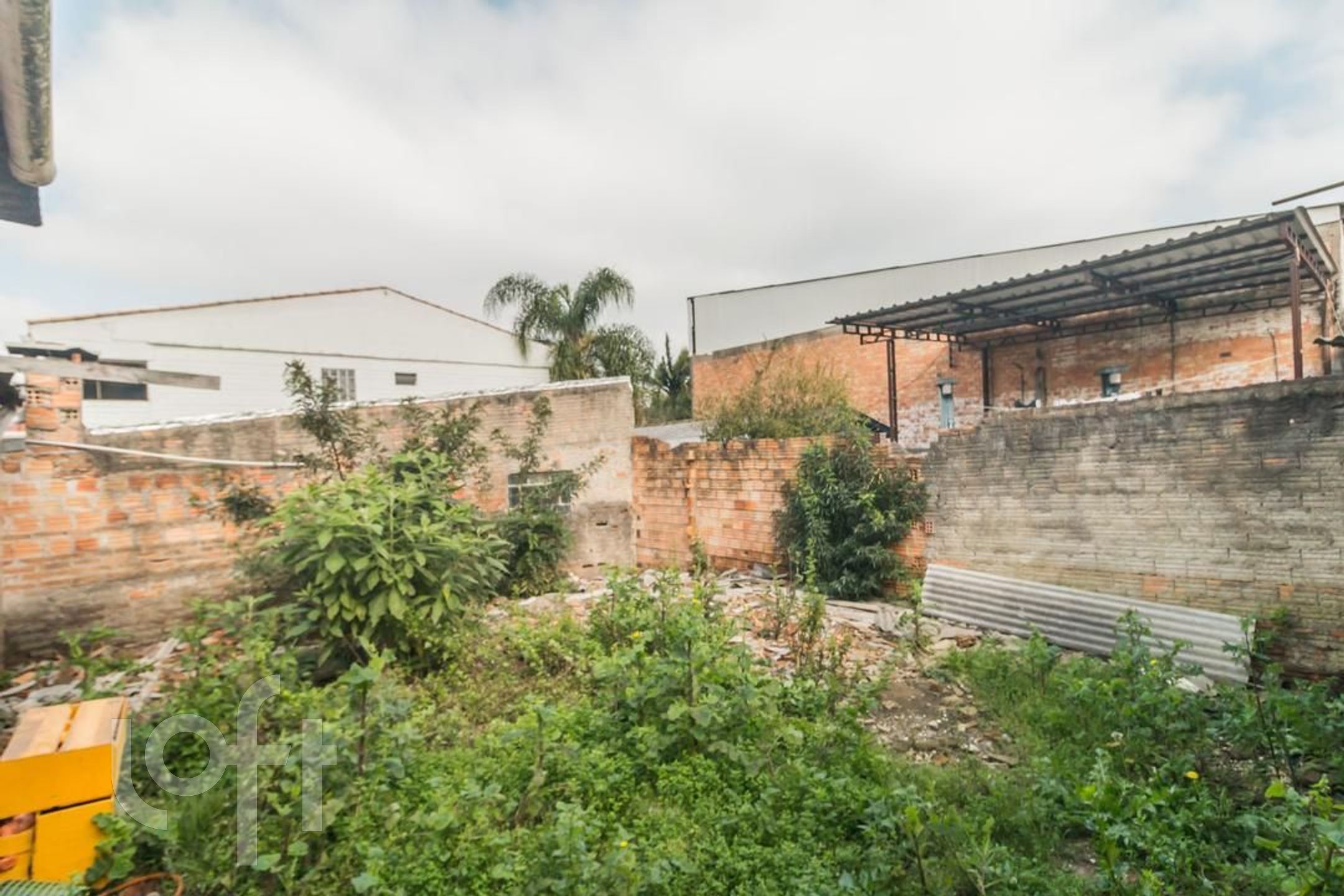 Imagem da propriedade 31