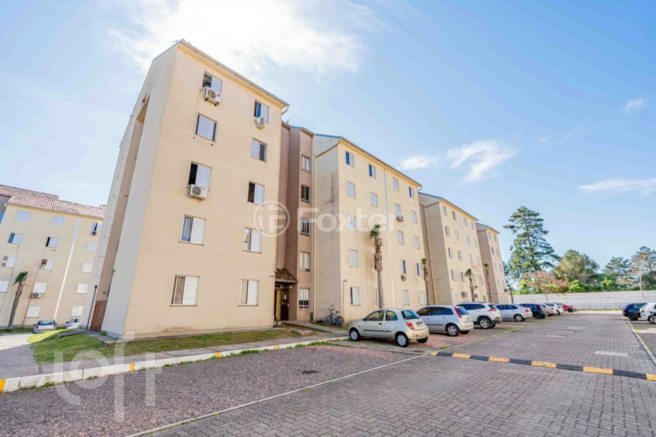 Imagem da propriedade 13