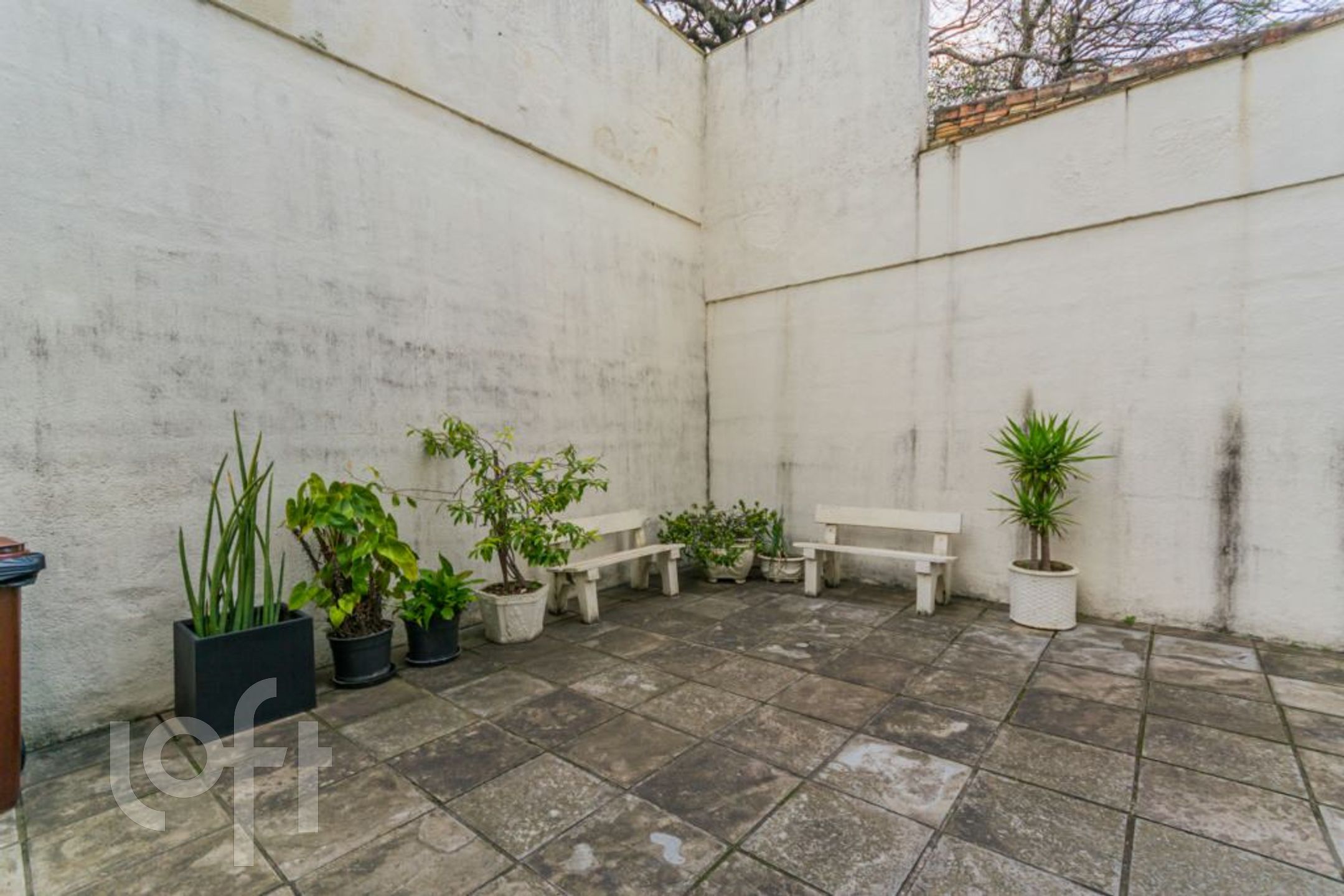 Imagem da propriedade 29