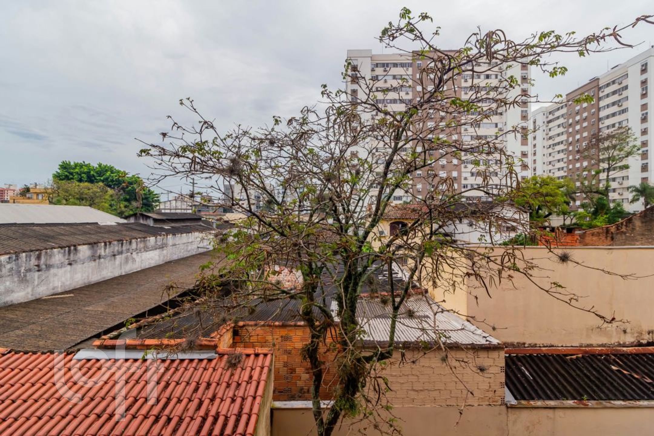 Imagem da propriedade 11