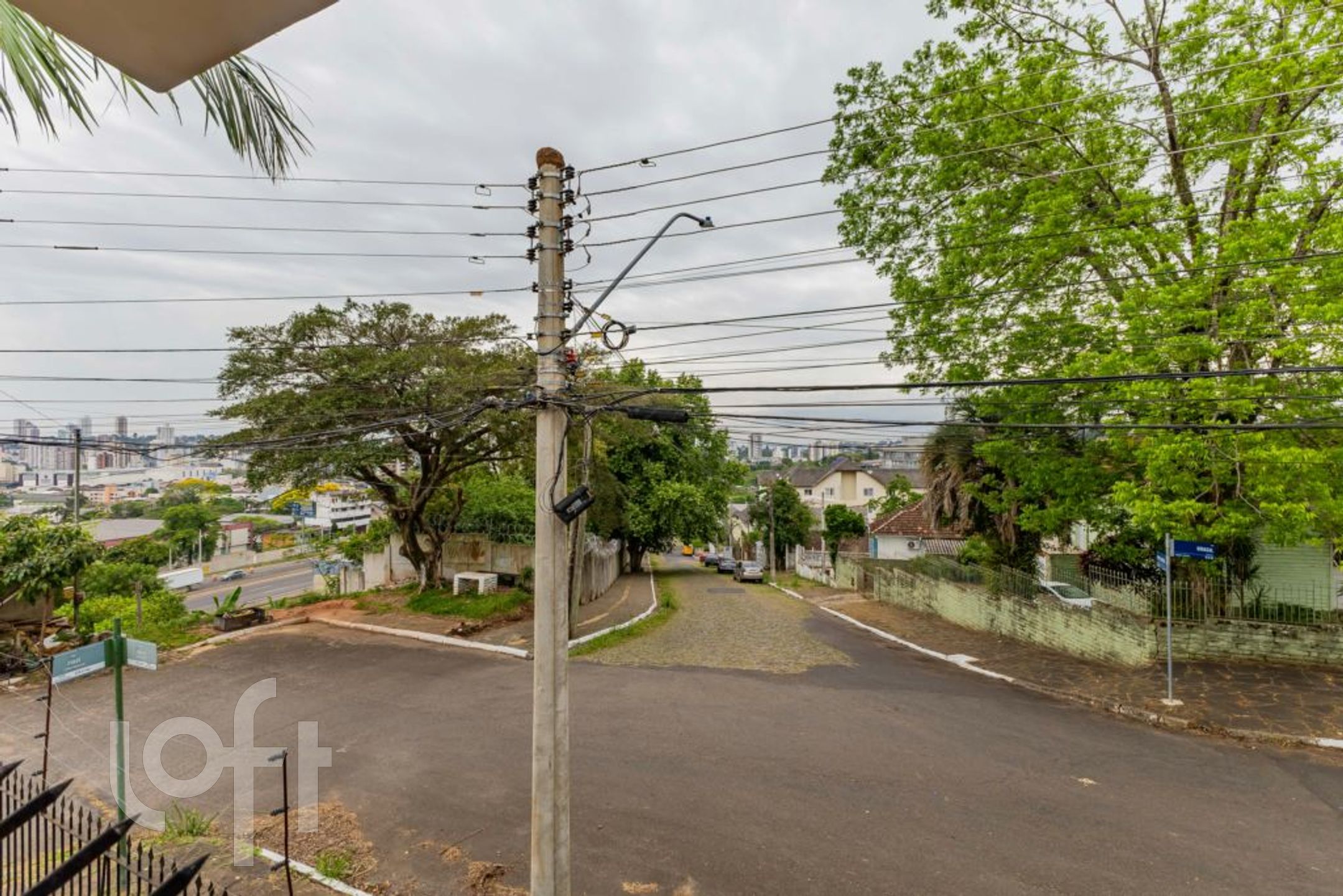 Imagem da propriedade 6