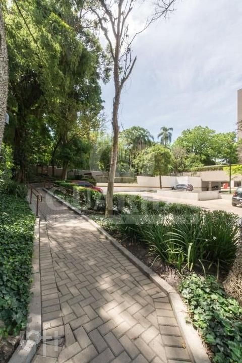 Imagem da propriedade 17