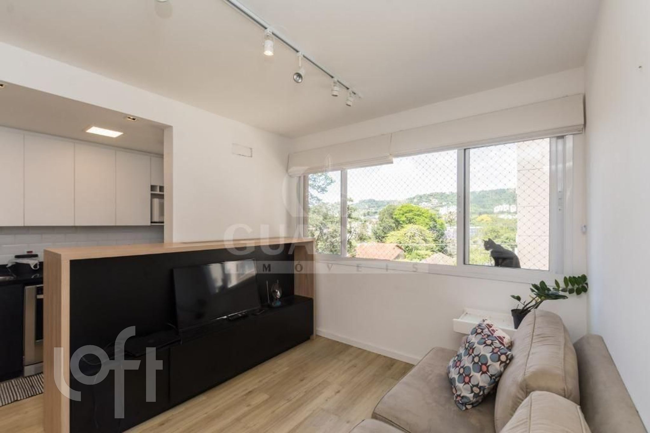 Imagem da propriedade 30