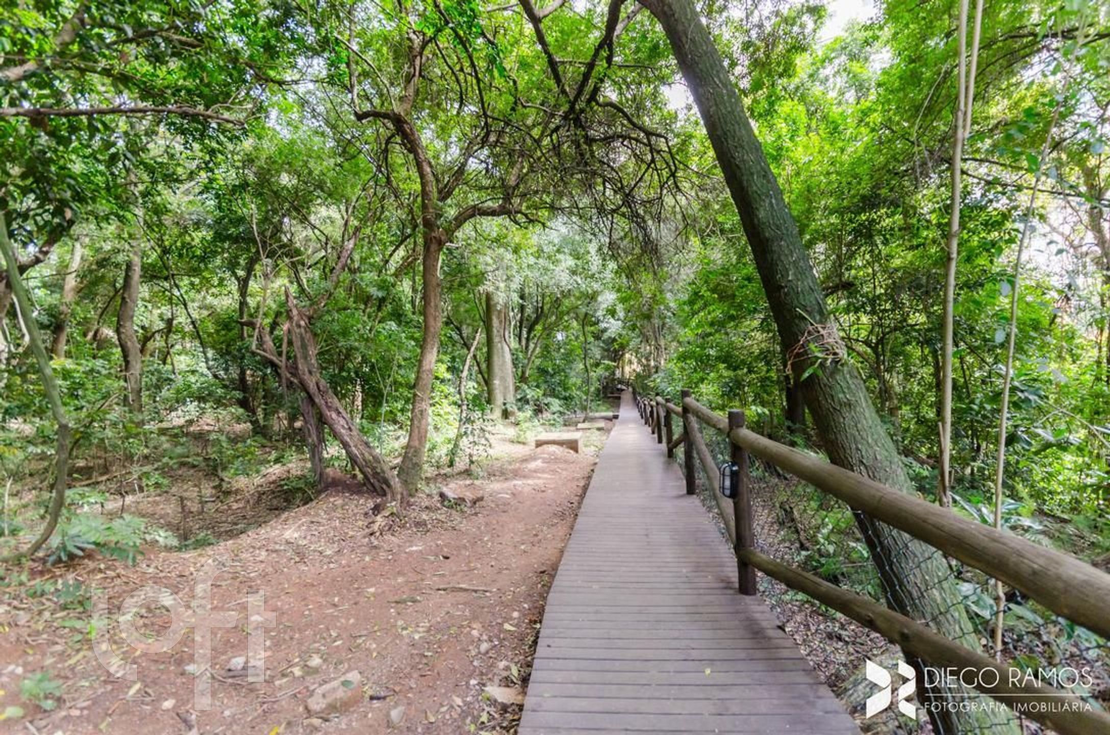 Imagem da propriedade 46