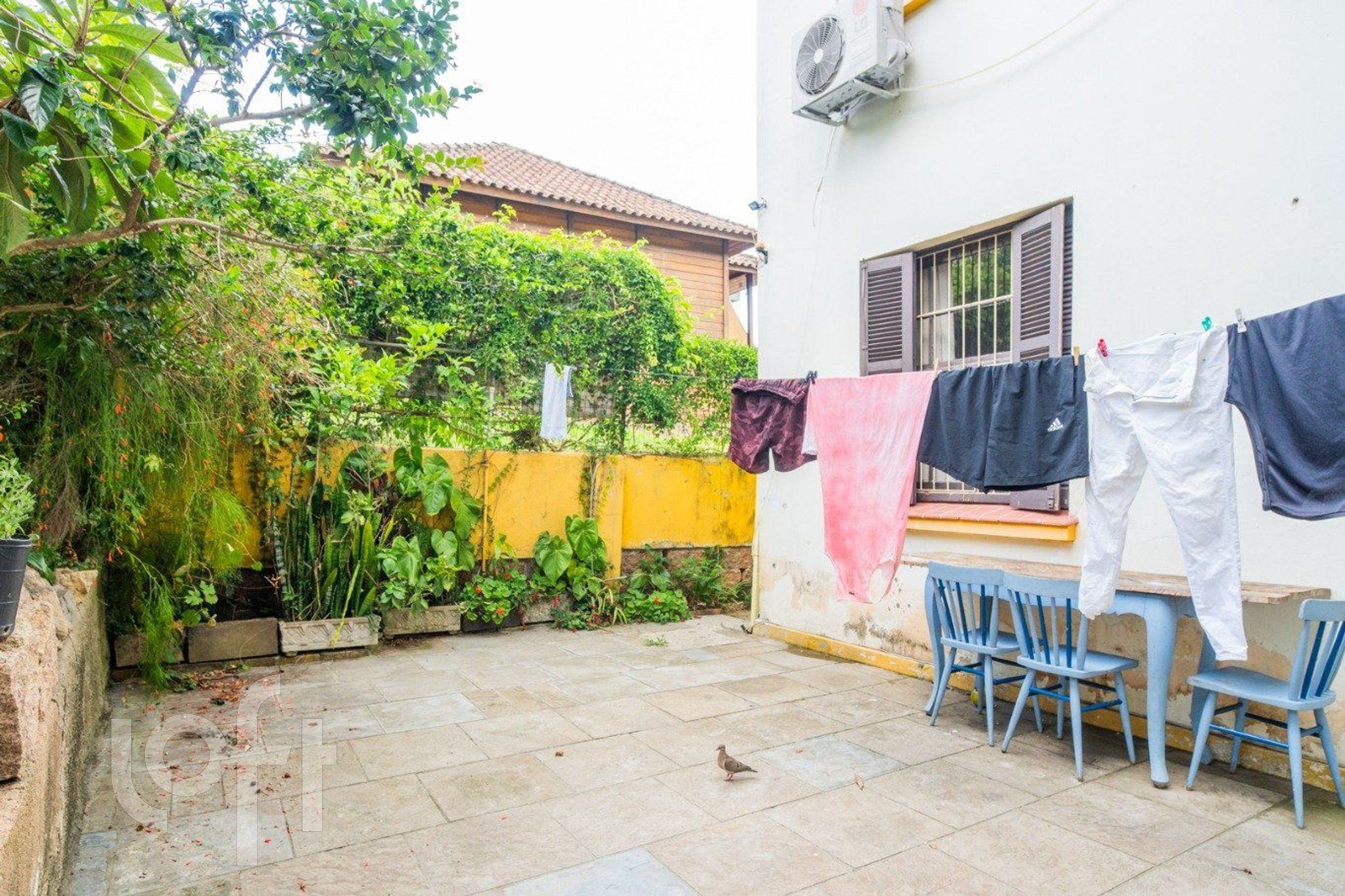 Imagem da propriedade 64