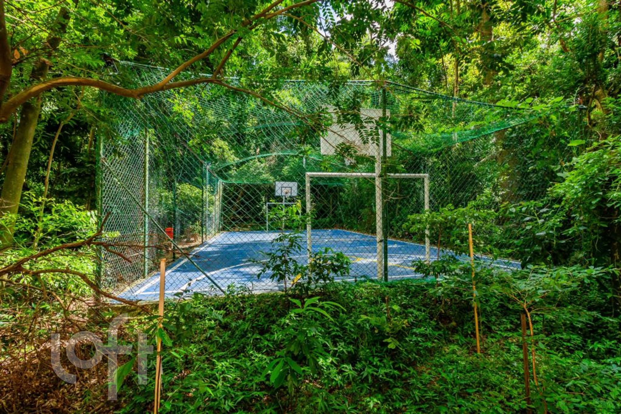 Imagem da propriedade 67