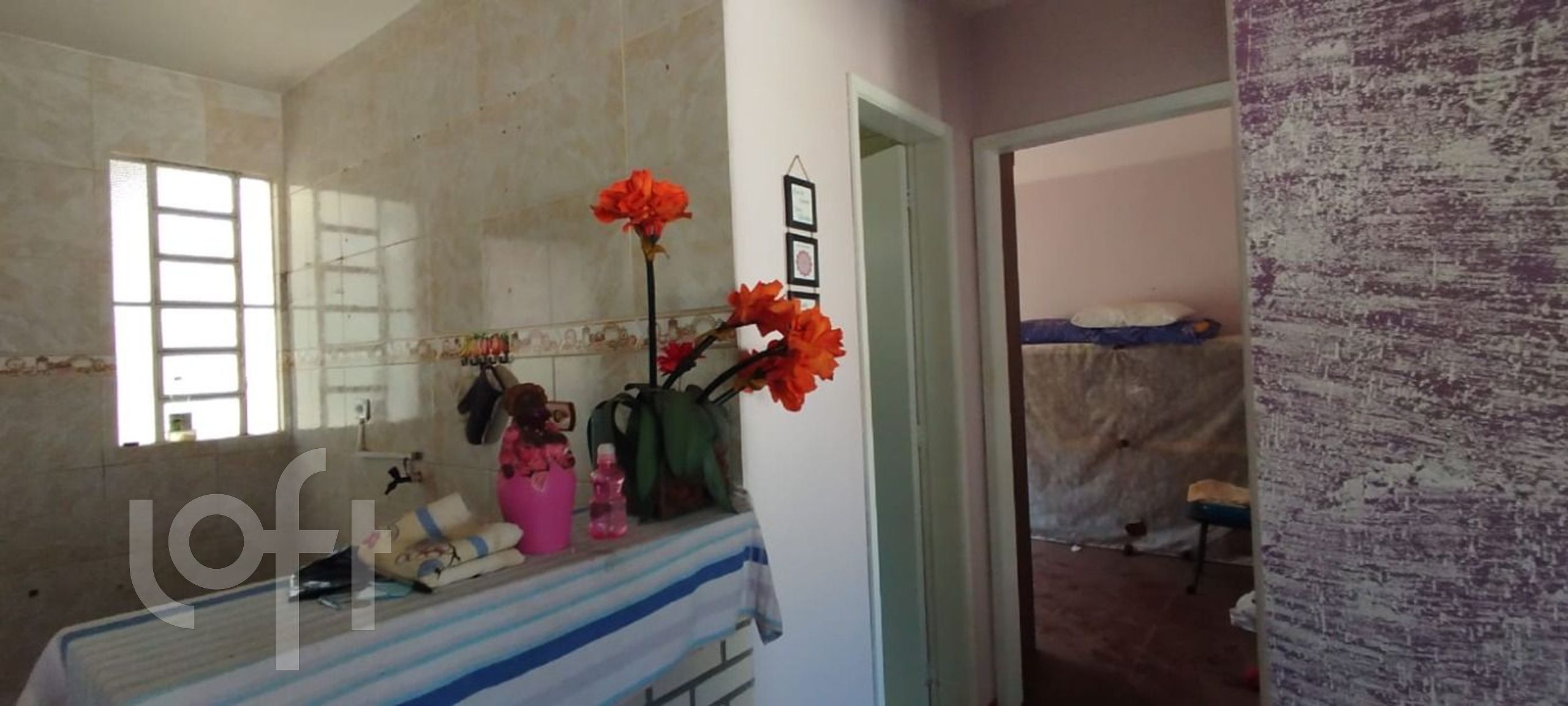 Imagem da propriedade 3