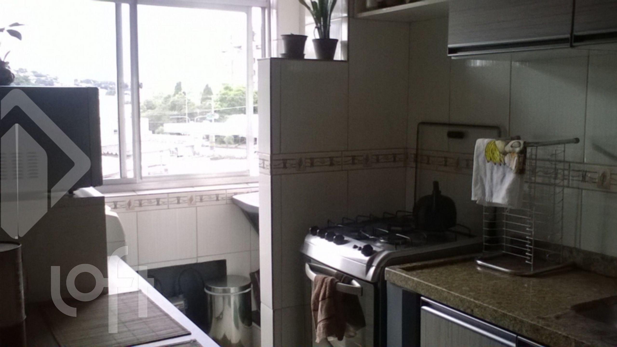 Imagem da propriedade 10