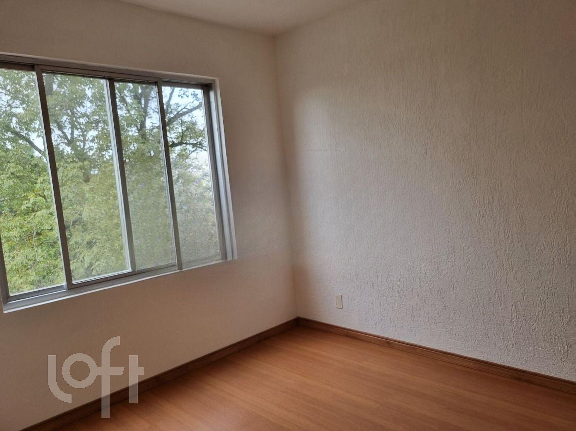 Imagem da propriedade 5