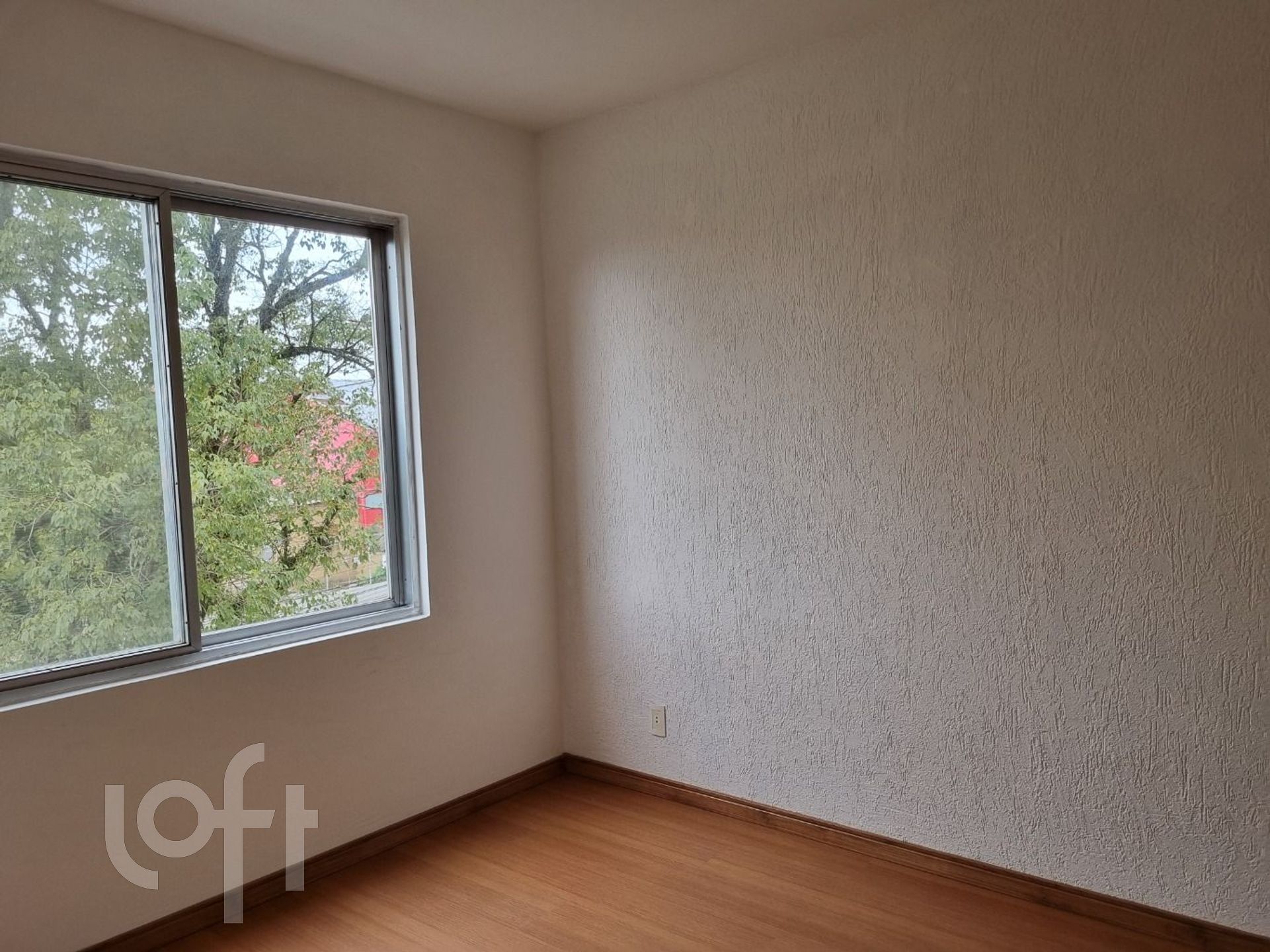 Imagem da propriedade 3