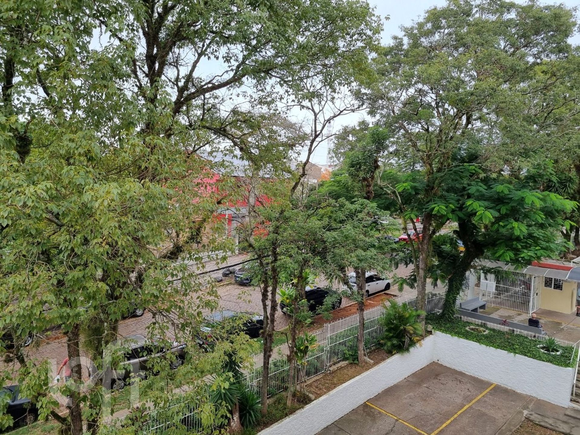 Imagem da propriedade 19