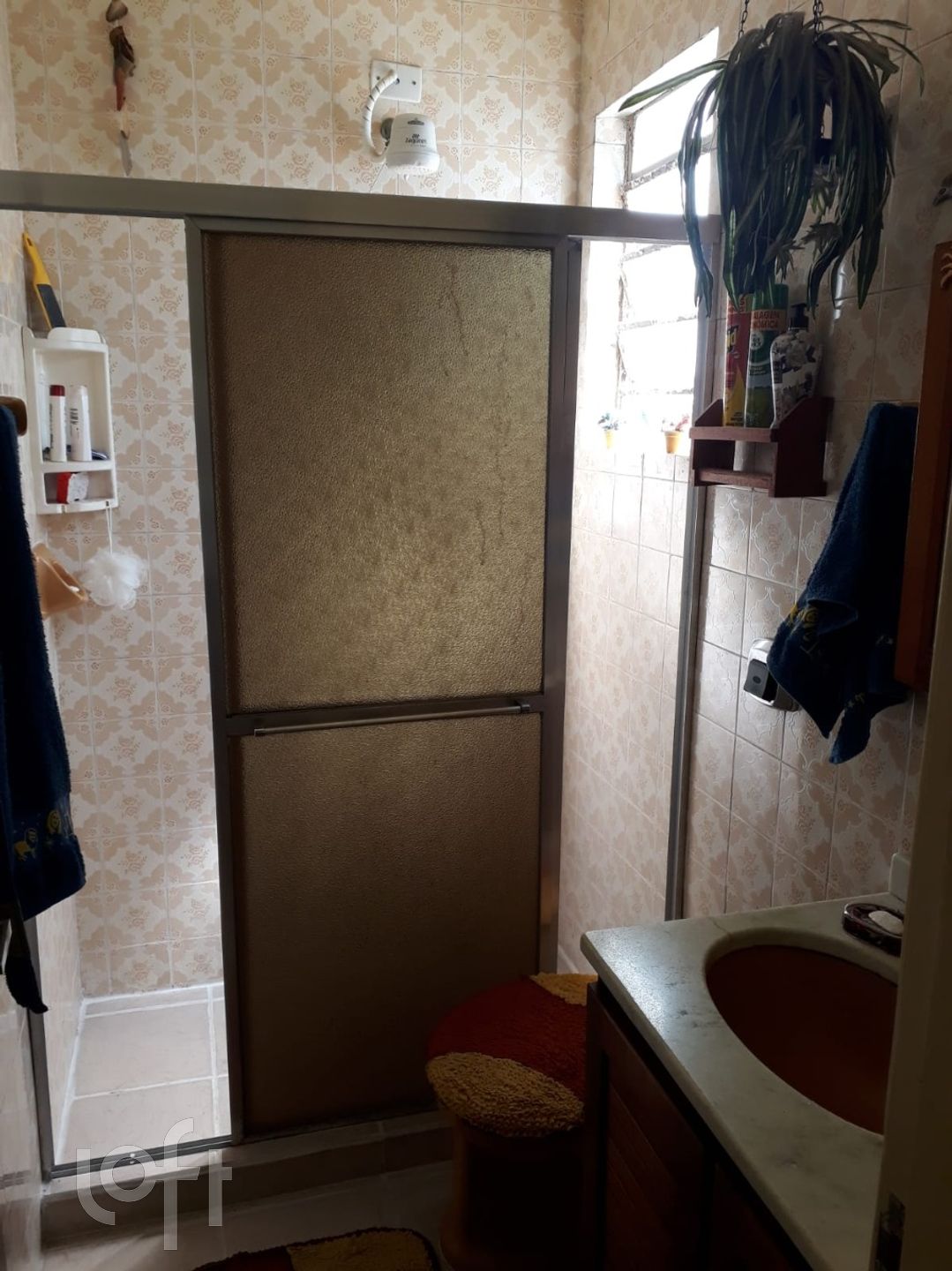 Imagem da propriedade 3