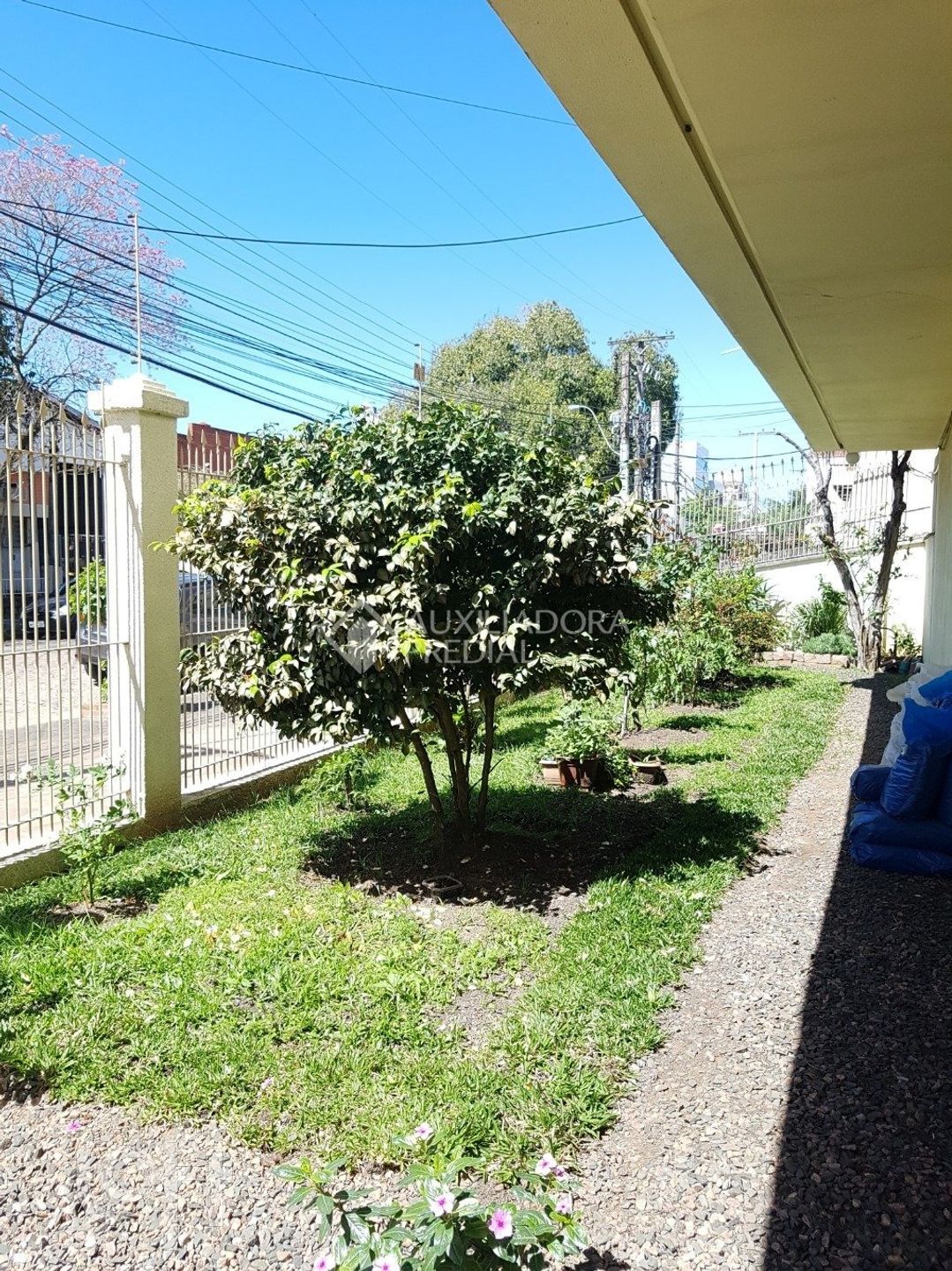 Imagem da propriedade 8