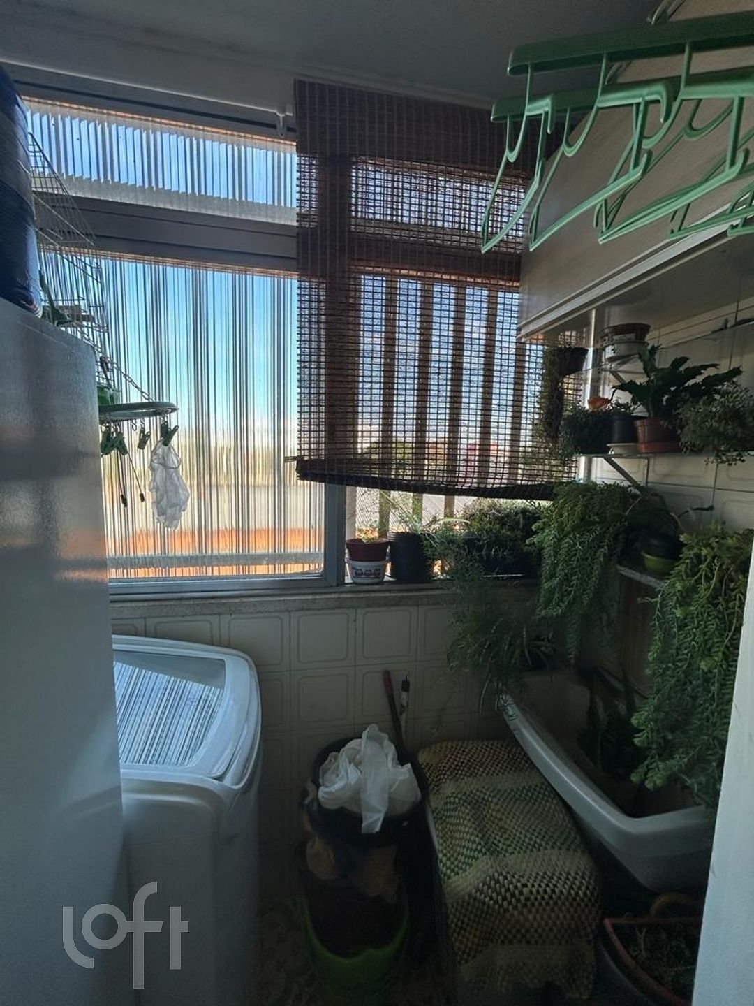 Imagem da propriedade 10