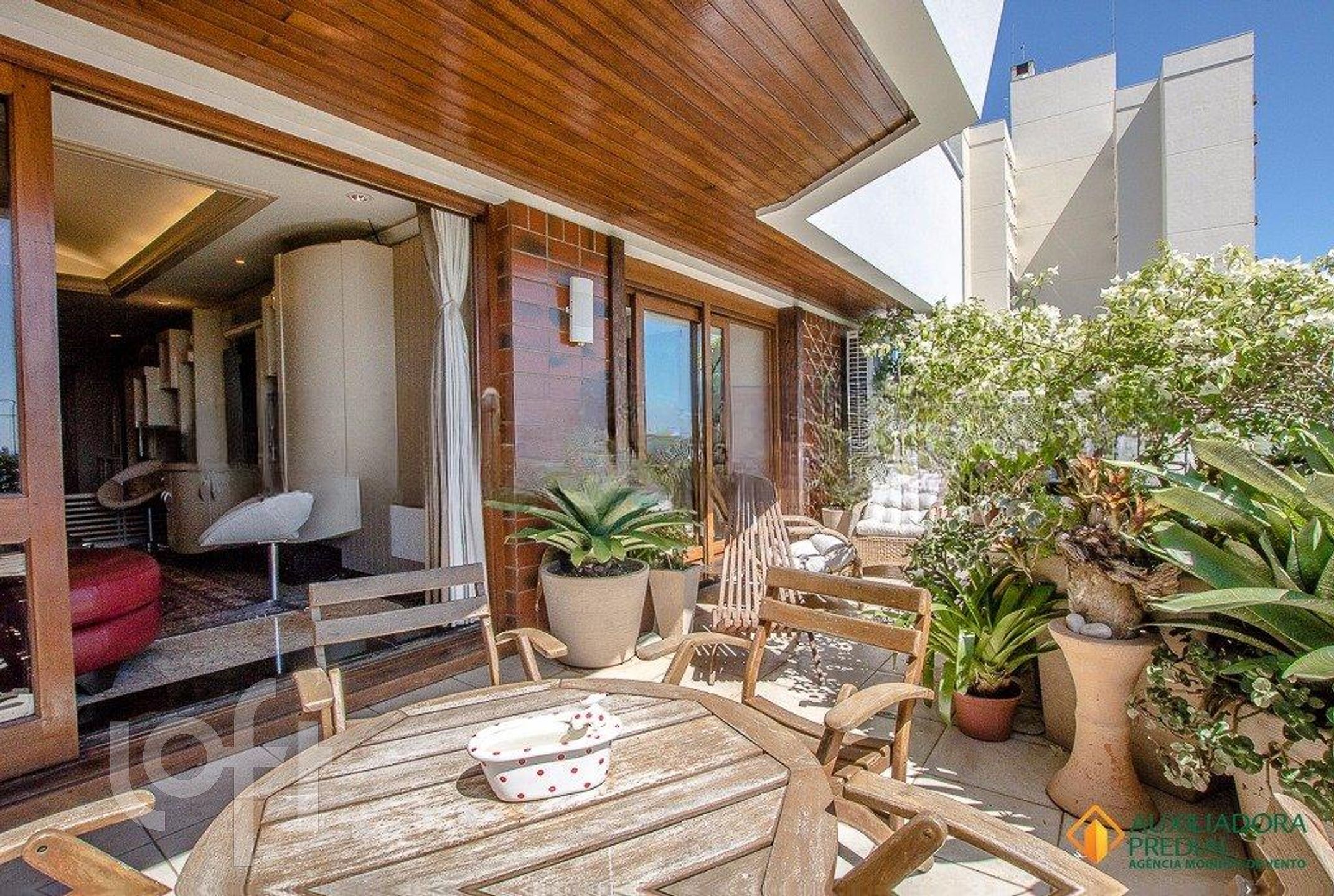 Imagem da propriedade 12